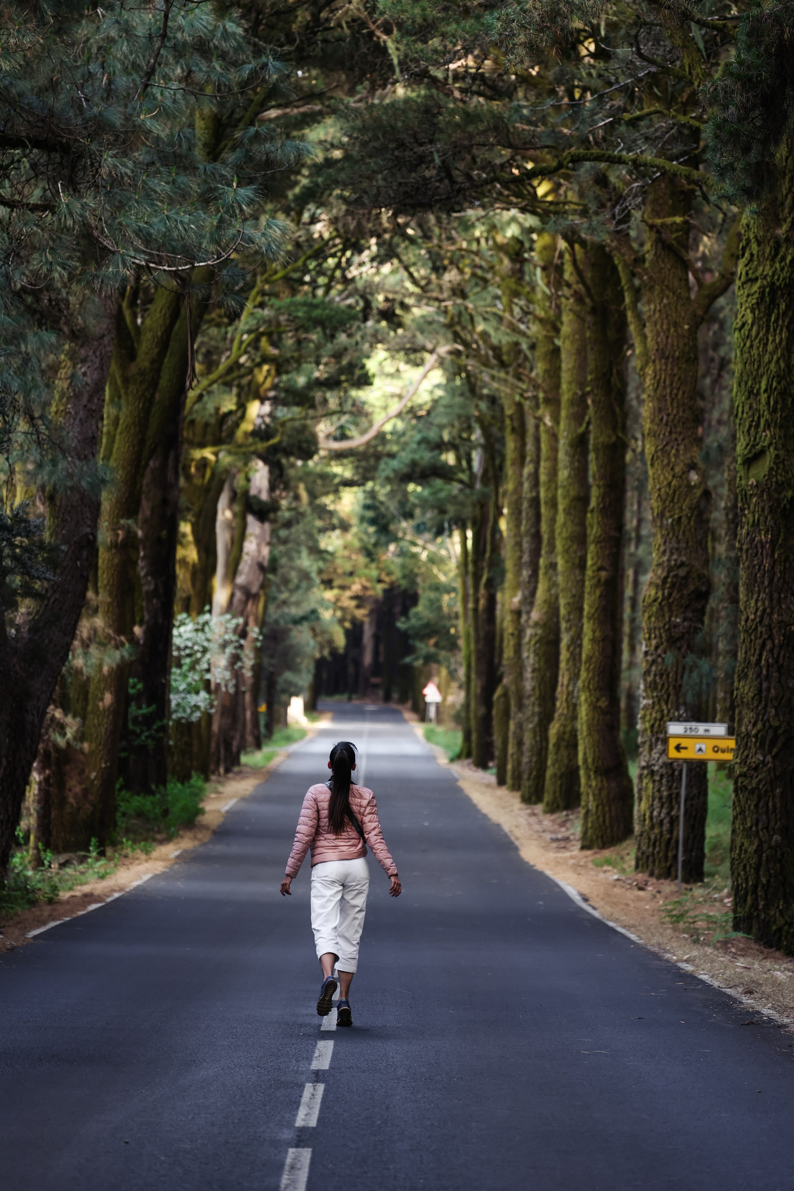 Тенерифе. Фотограф Виктория Волкова. Москва