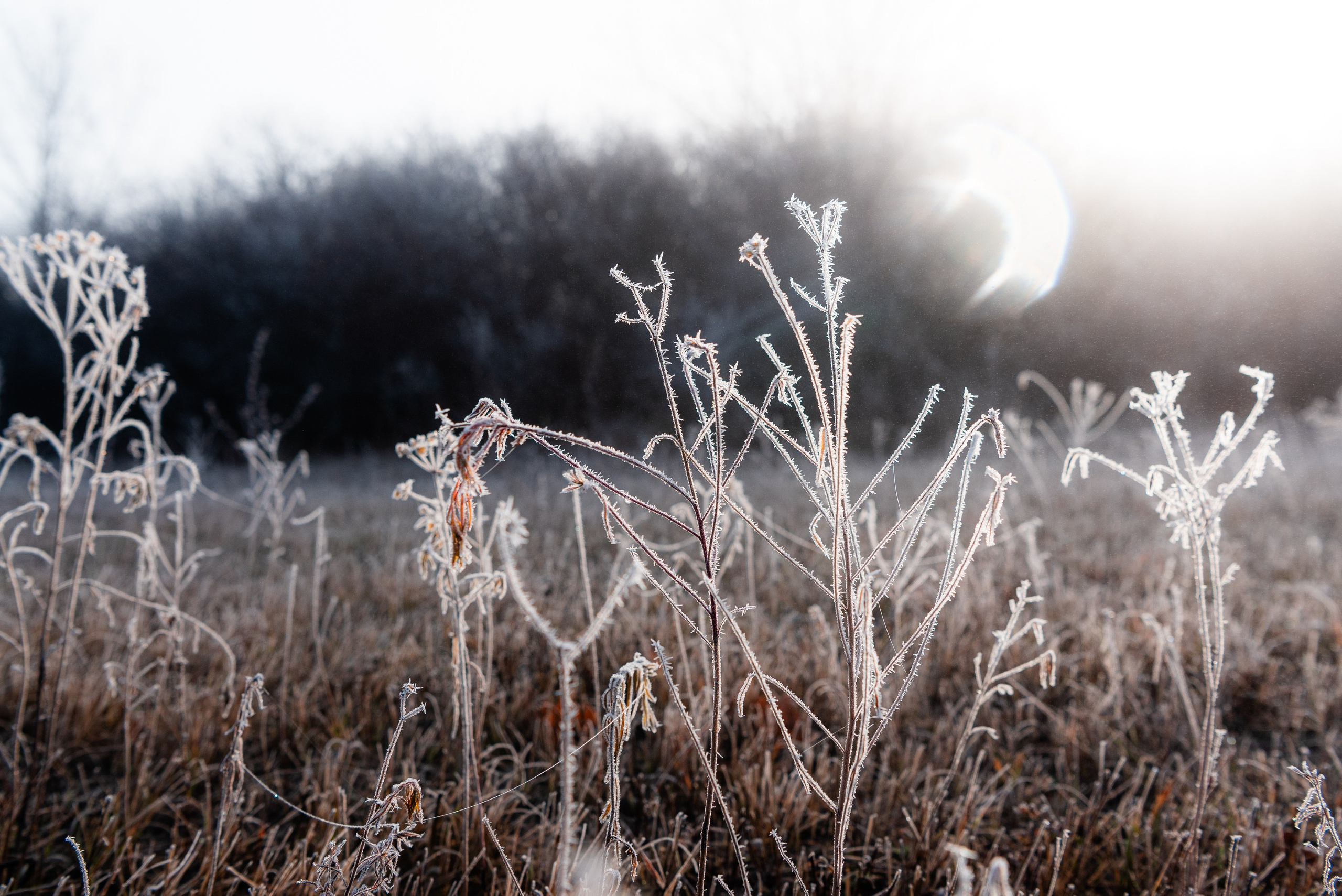 Фотографии утреннего тумана под Волжским. Фотограф в Волгограде и Волжском Александр Горбань