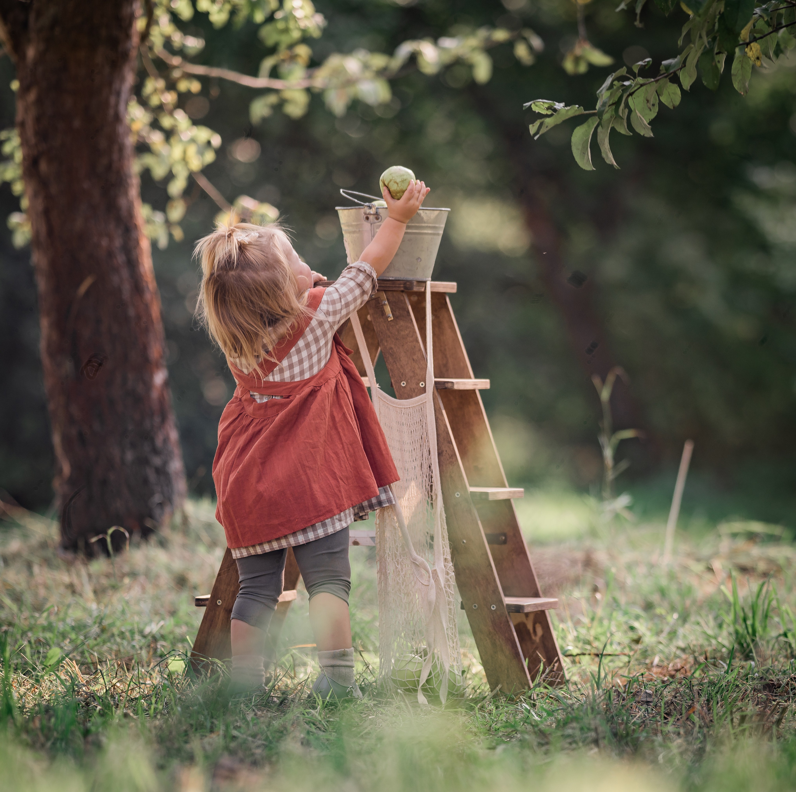 Яблочный сад. Семейный фотограф Ефремова Виктория