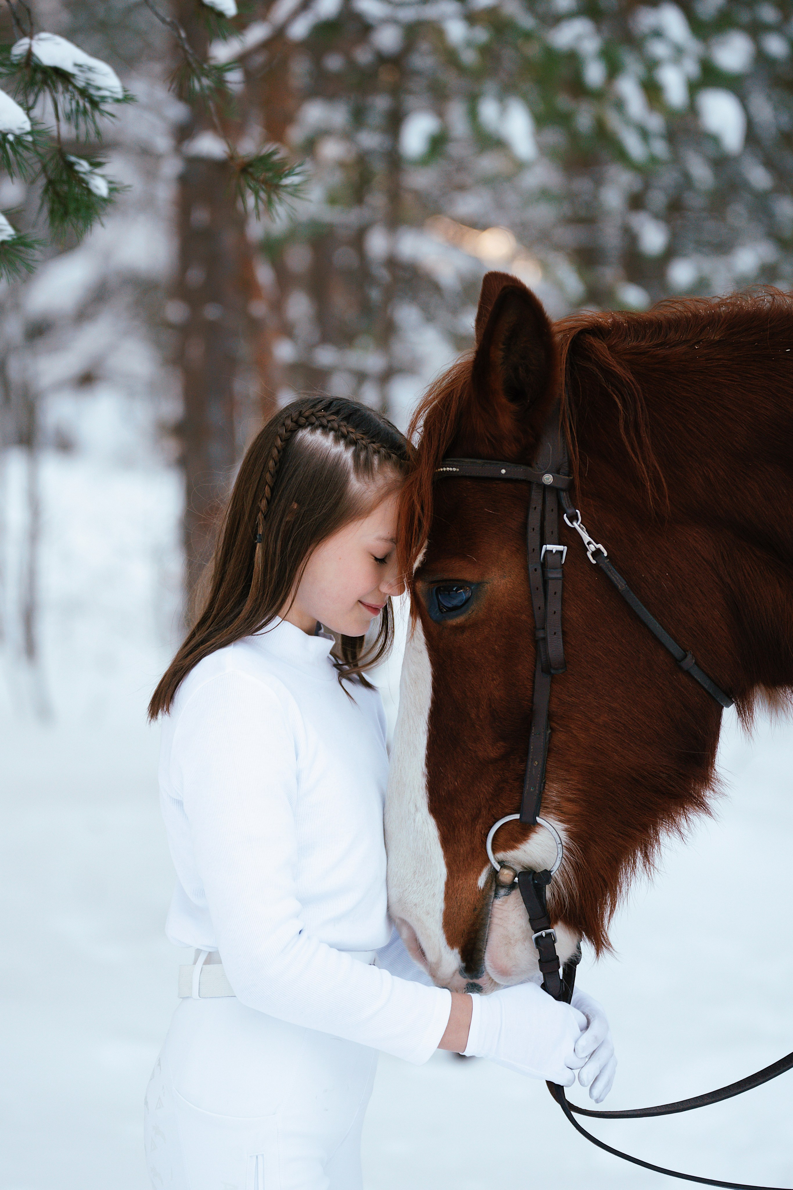 Конные. Фотограф Сибирика (Ирина Кузнецова), Санкт-Петербург и ЛО — портреты, свадьбы и семейные съемки. Творческий подход и качественные фото