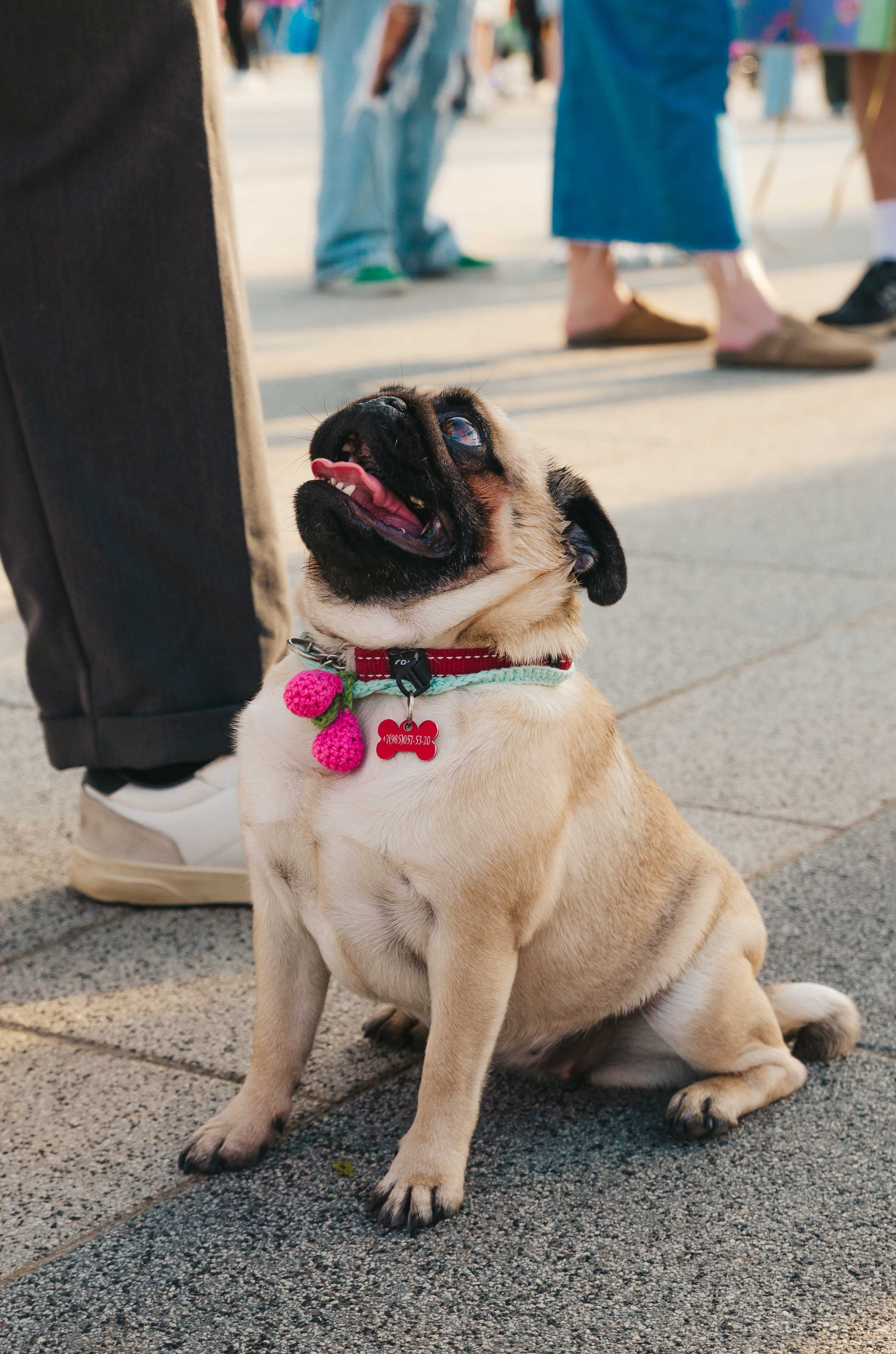 Всякое отовсюду. Самолюк Антон. Фотограф в Москве и Московской области