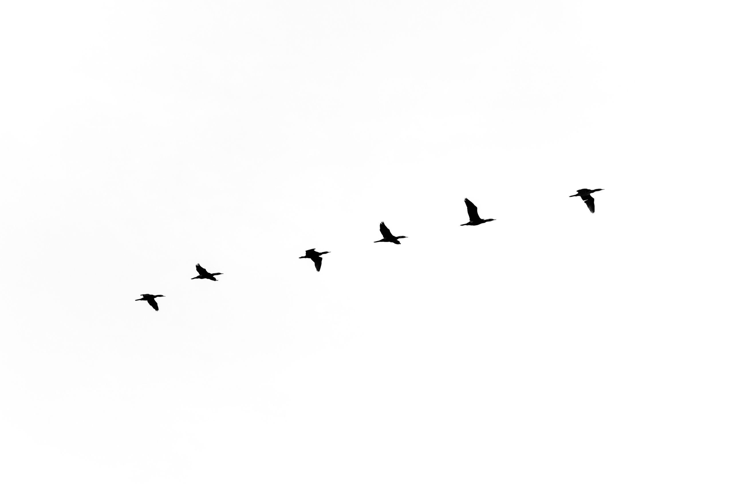 Таня. Фотосъёмка Сочи, Адлер, Красная Поляна