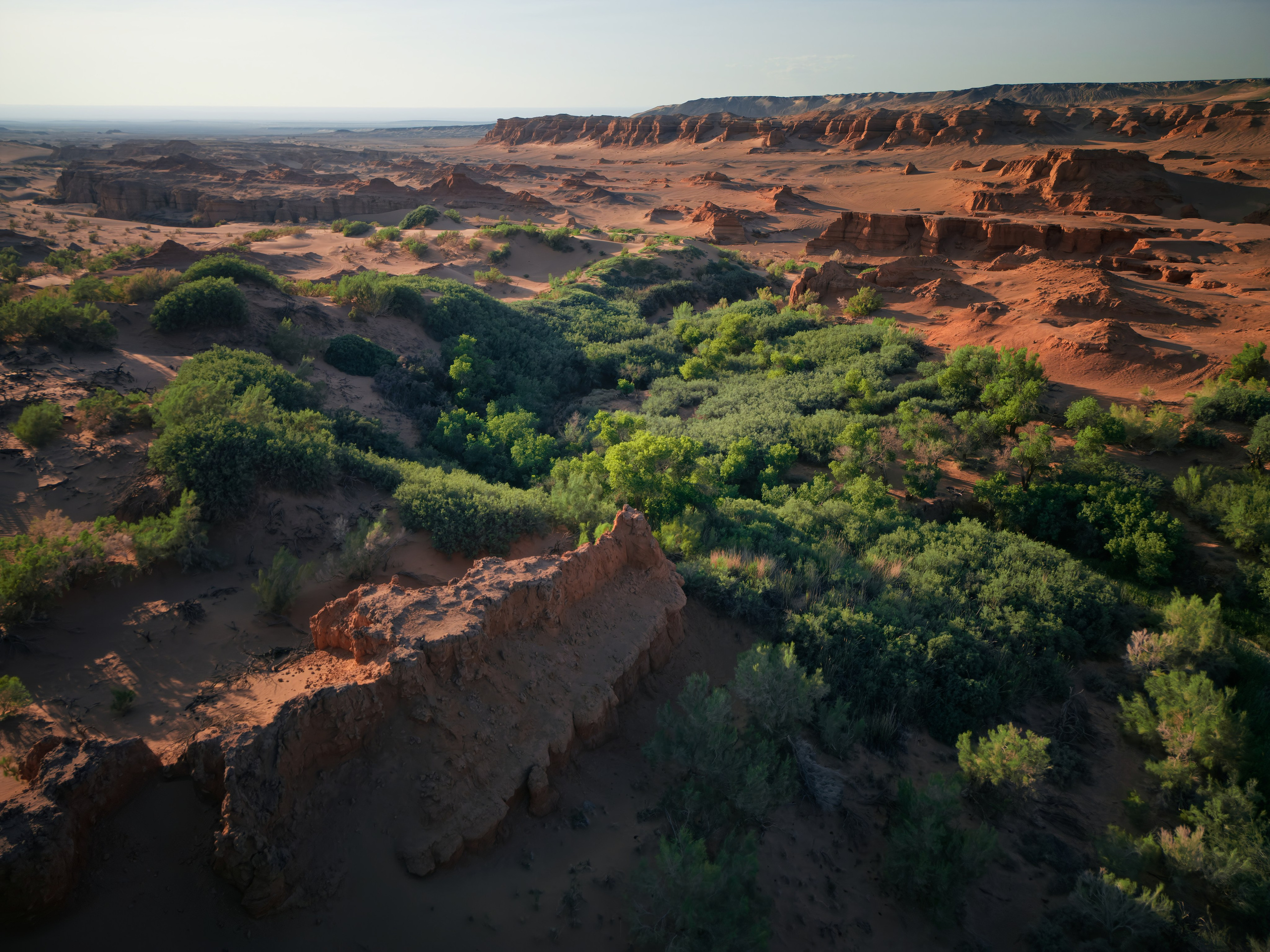 Экспедиция в Монголию (Гоби). Семоха Валерий. Фотограф