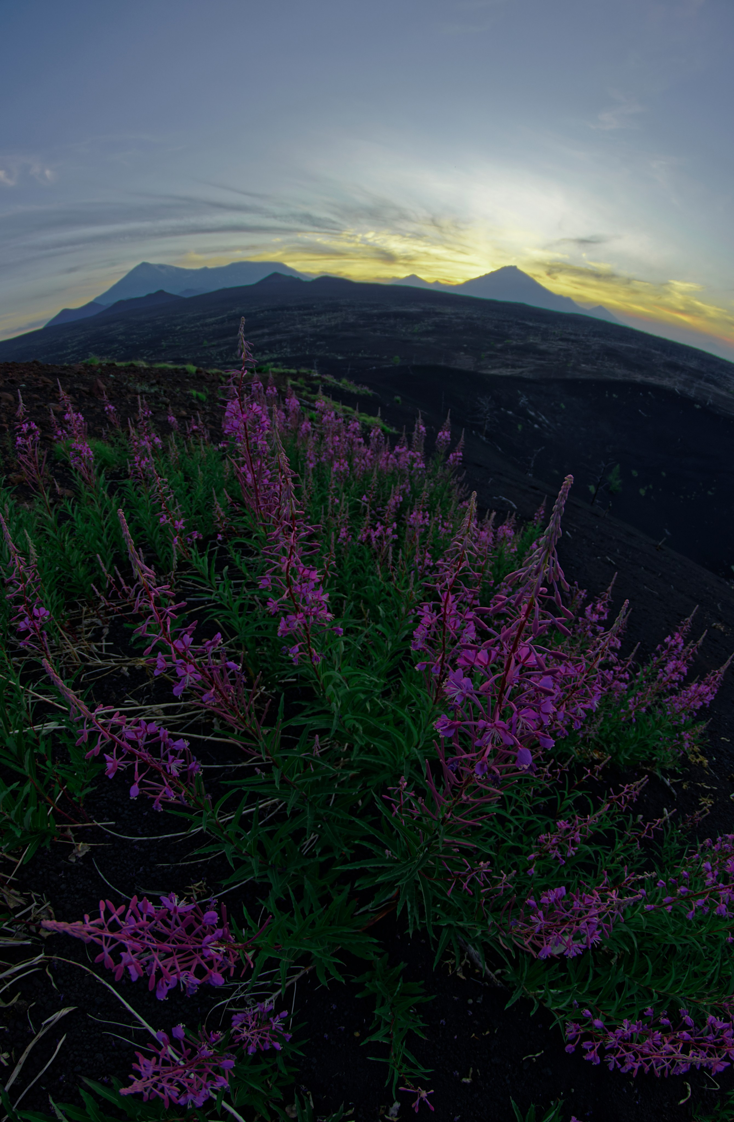 Камчатка. Фототрип. Тур?. Семоха Валерий. Фотограф