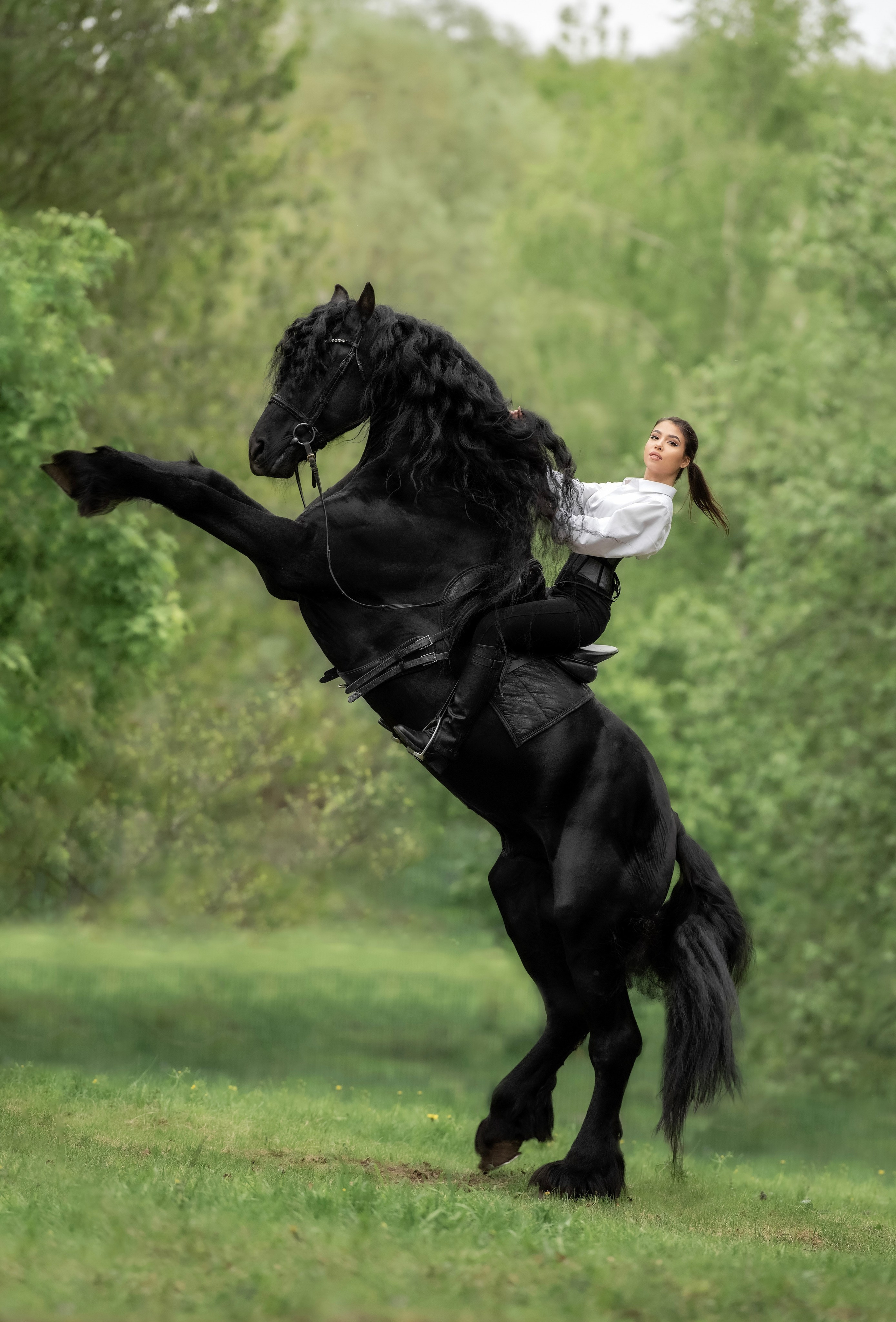 Премиум фотосессия с лошадью для девушек