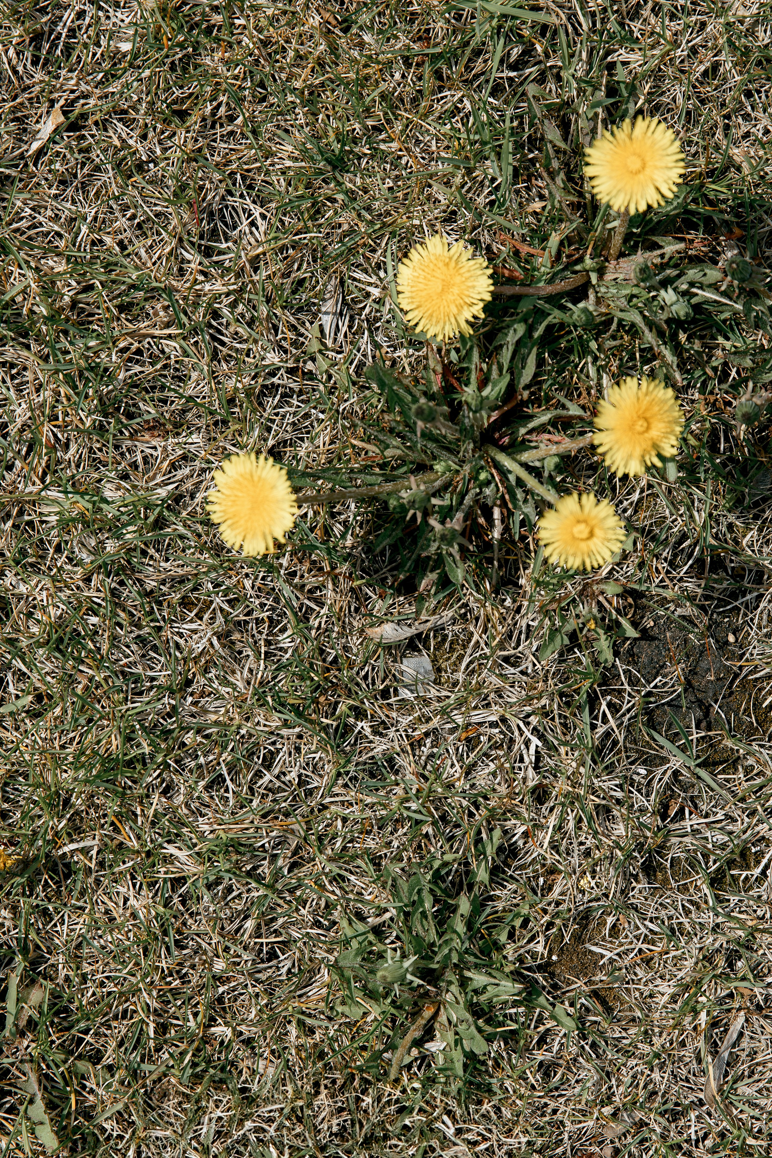 ВОСТОК СЕРВИС. Фотограф в Красноярске