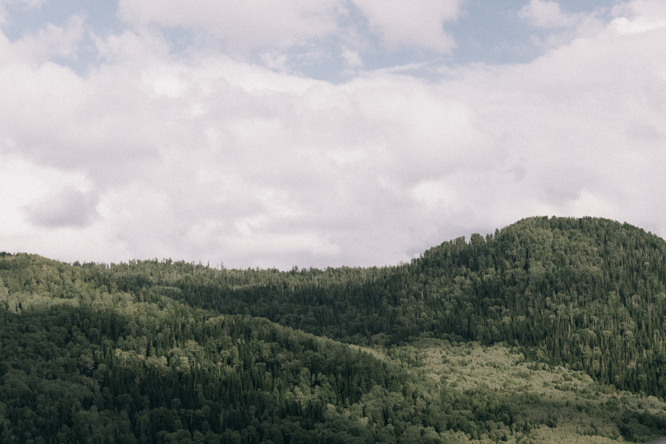 Алтай, природа и эстетика. Александр Чернин. Семейный и событийный фотограф