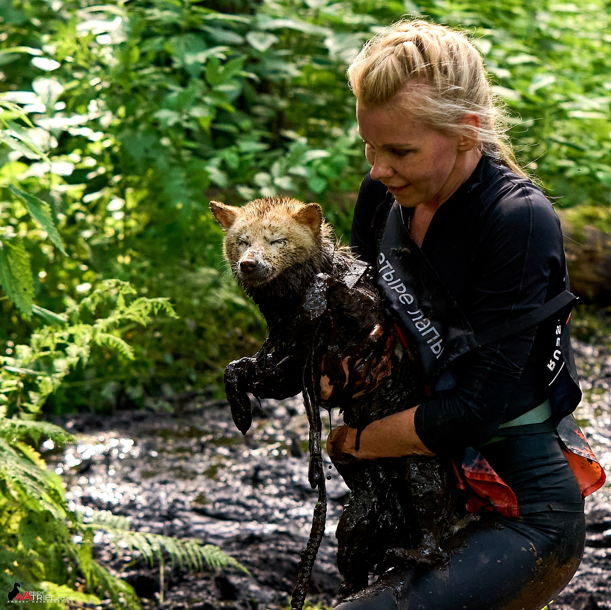 Russian Extreme Dog Trail — 2025