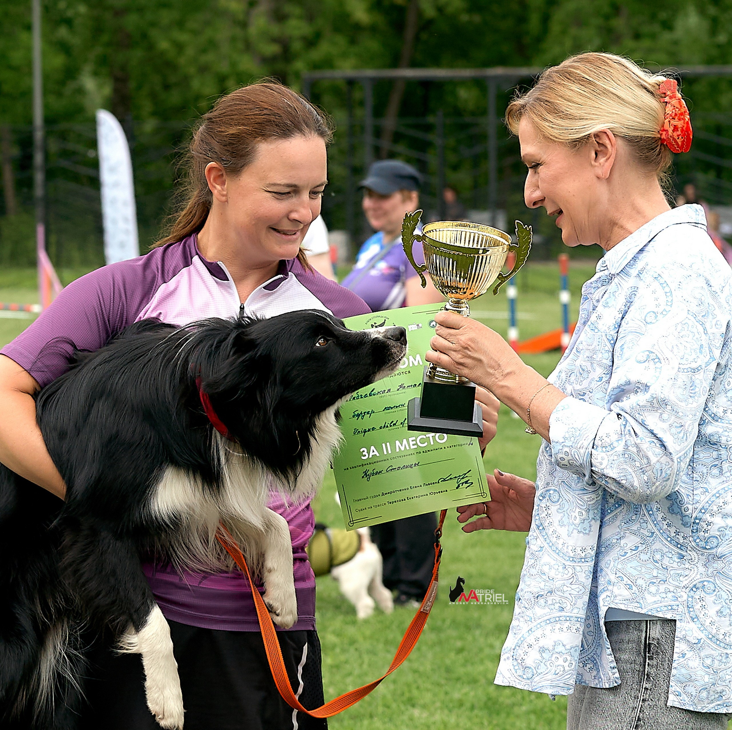 Аджилити — галерея NATRIEL