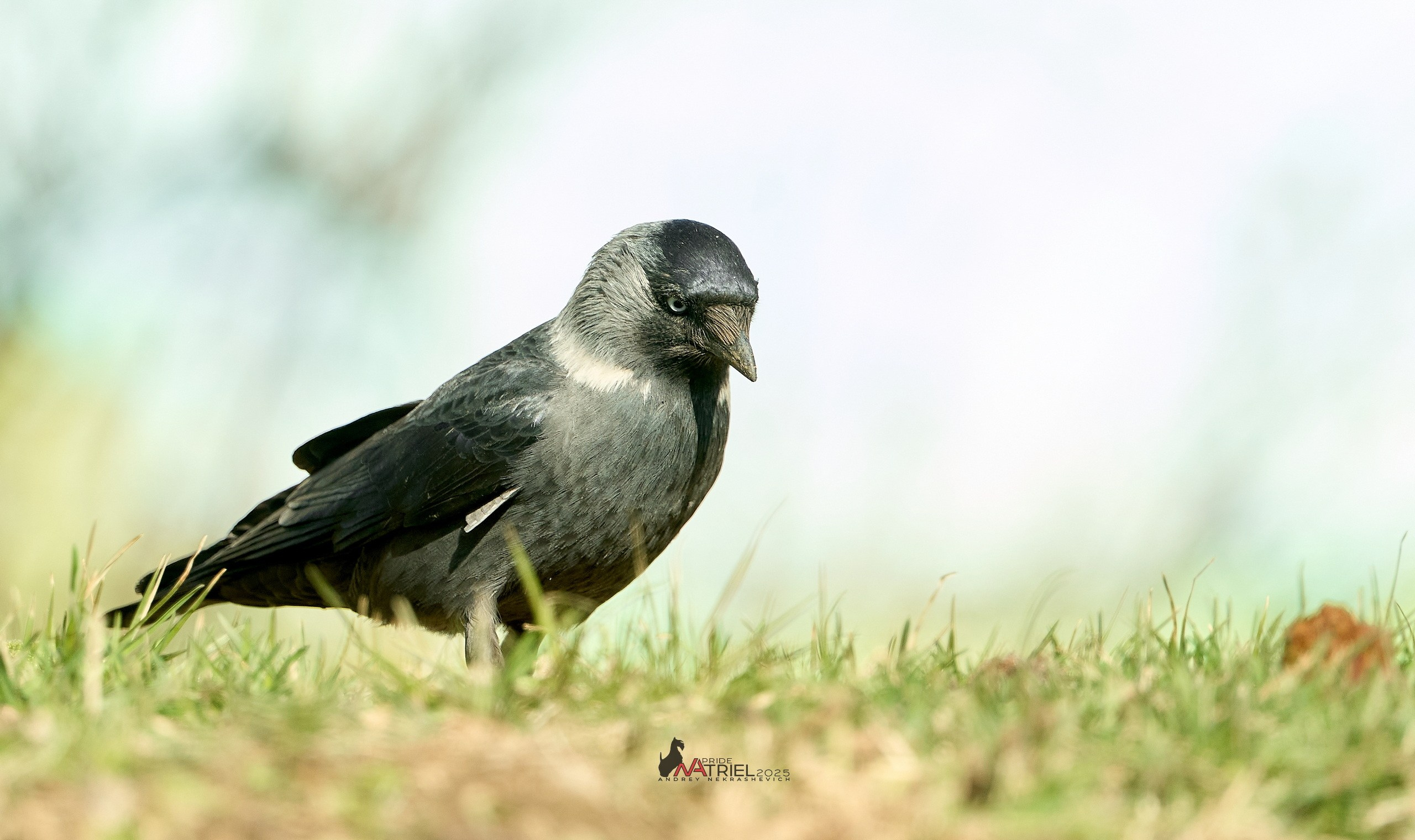 Природа в апреле