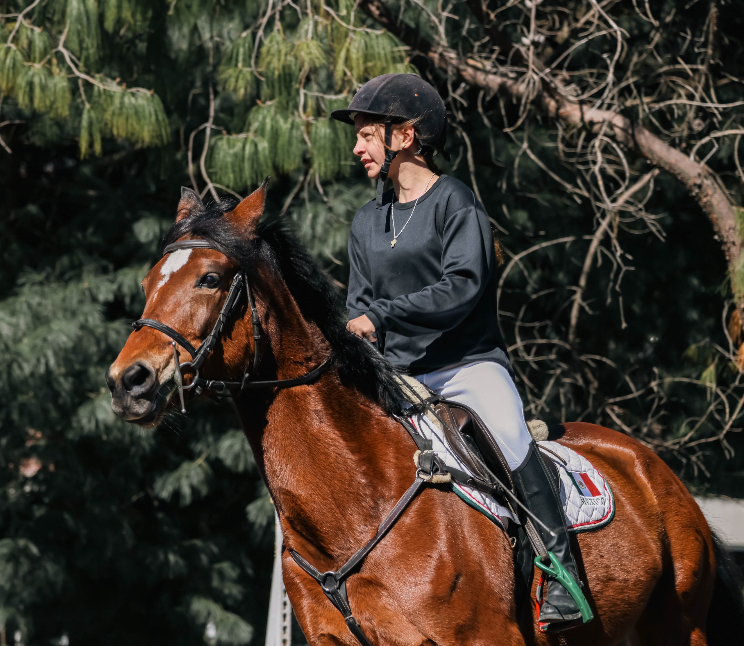 Лошади. Kateserbina