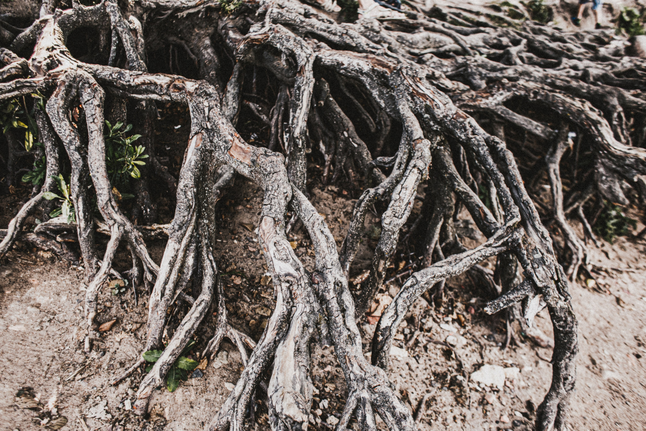 Питер 2022. Фотограф в Нижнем Новгороде