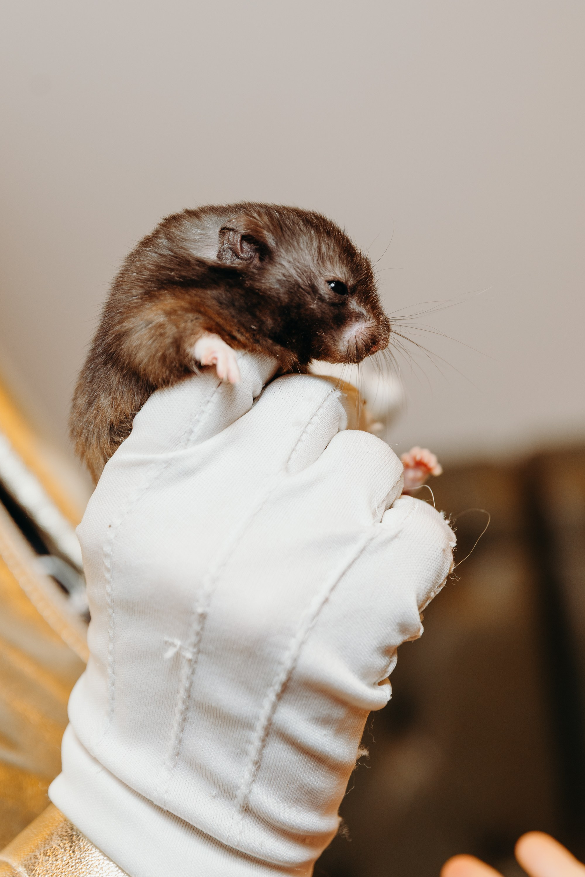 Кира 7 лет. Фотограф Вадим Казусь