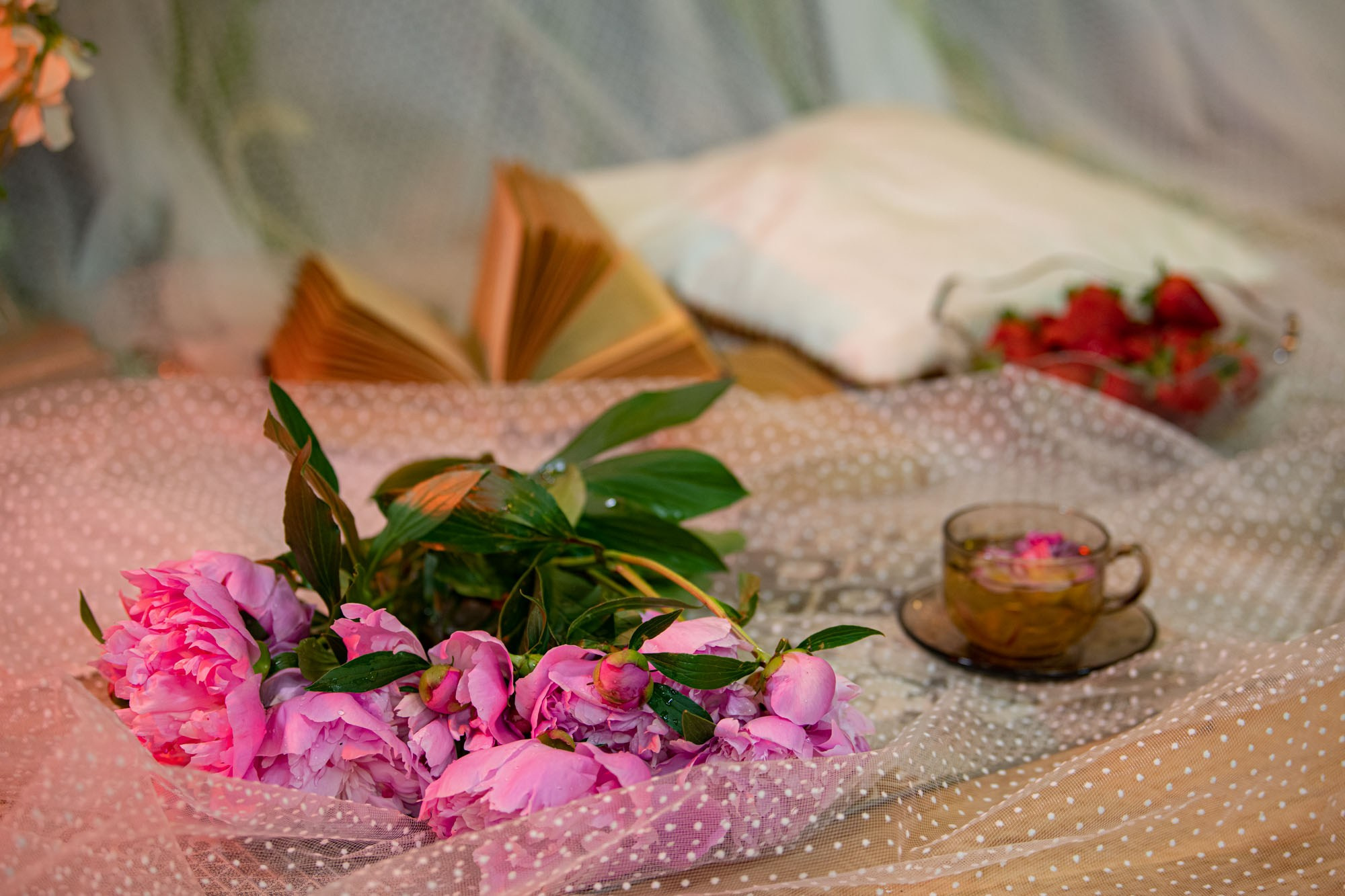 Провинциальная романтика. Главная