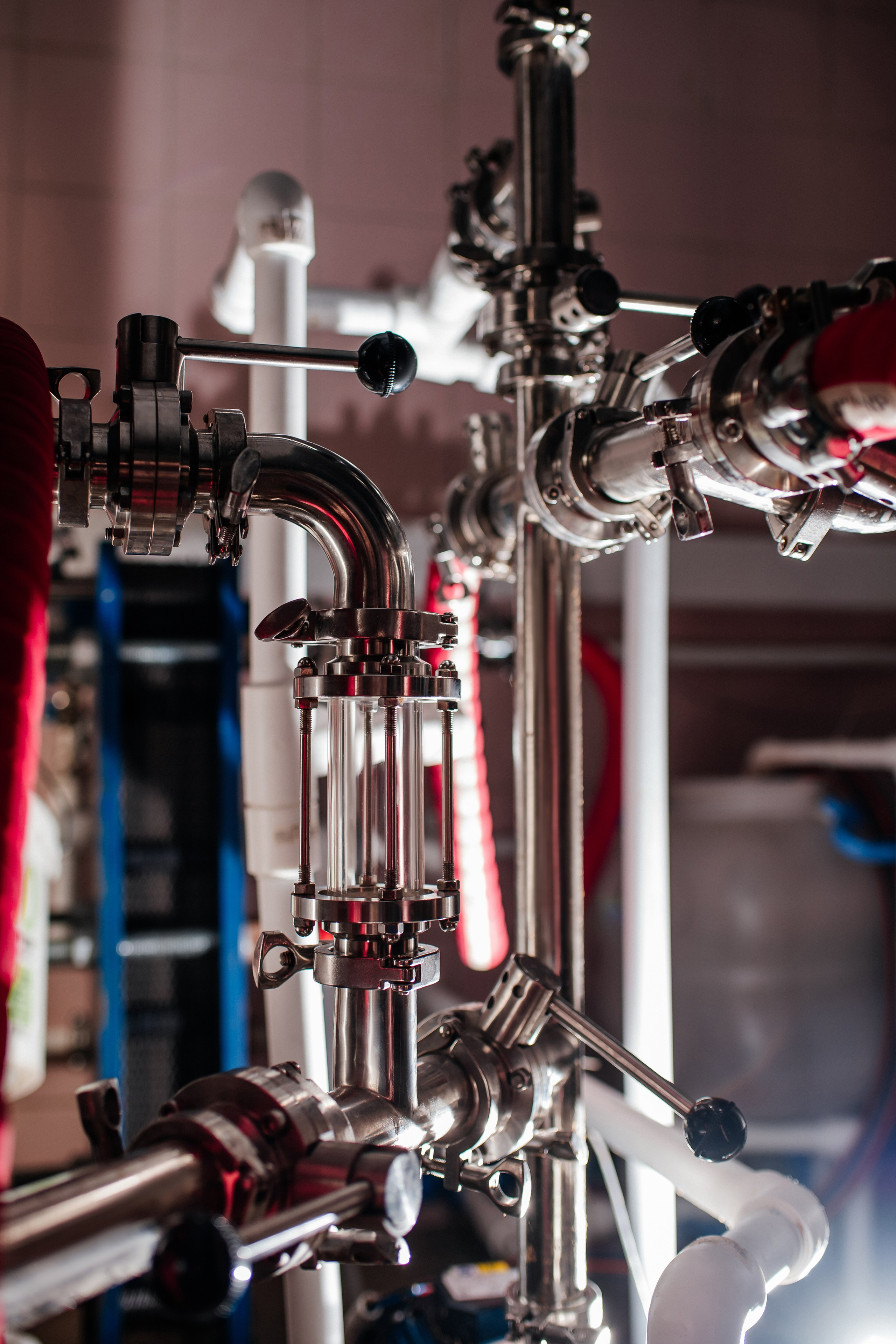 Напитки. Семейный и Свадебный фотограф. Санкт-Петербург. Пушкин