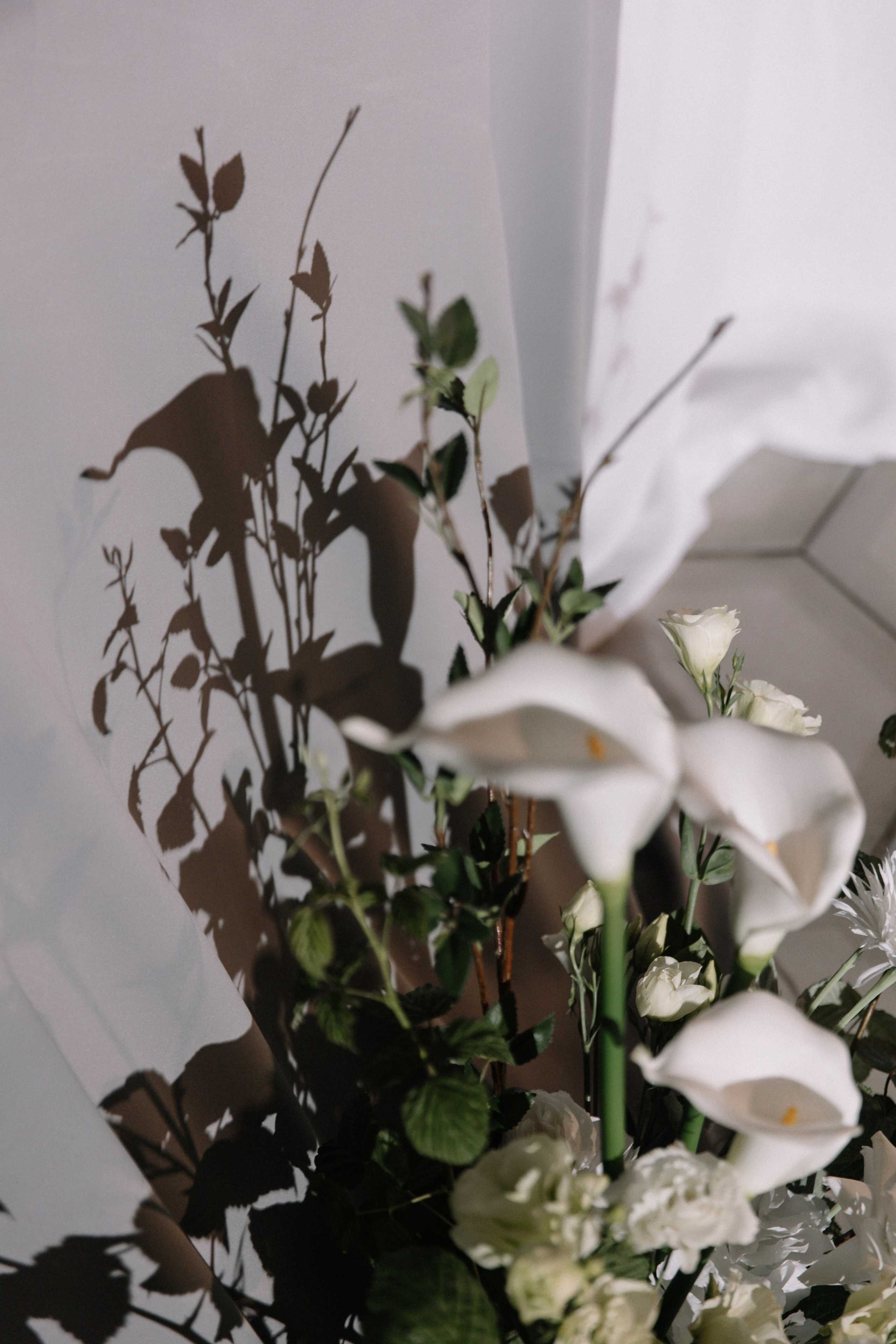 N & D. Свадебный фотограф Алина Хабарова