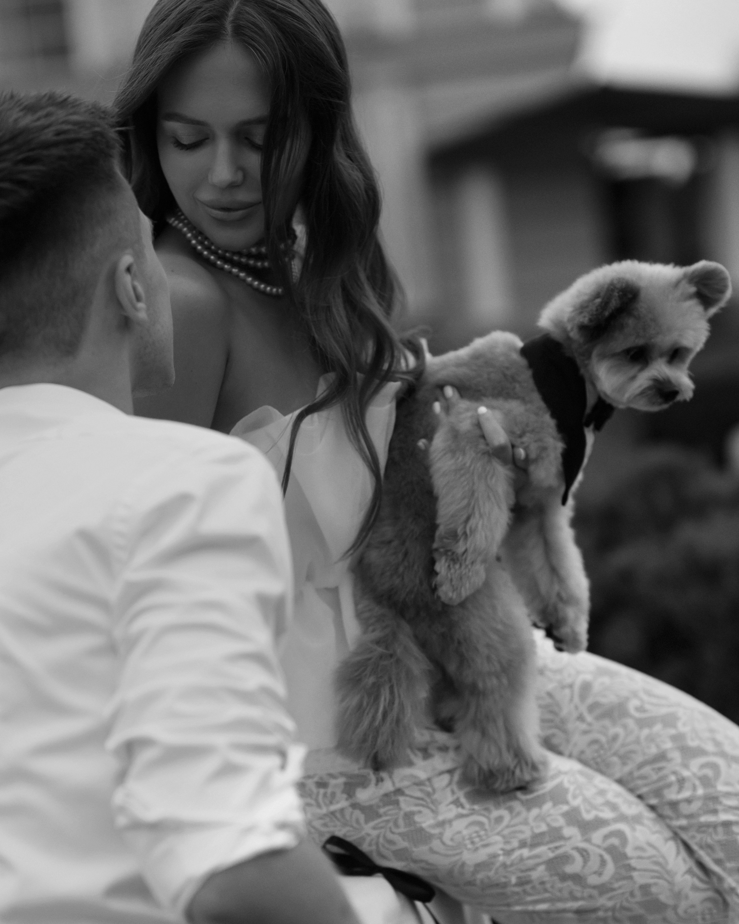 Саша & Женя. Фотограф Александр Захар. Минск, Москва, Дубай