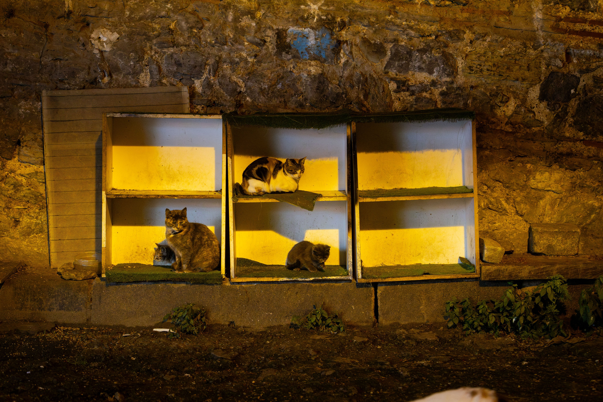 Вьетнам (зима 2025-2026). Фотограф Виноградов Константин