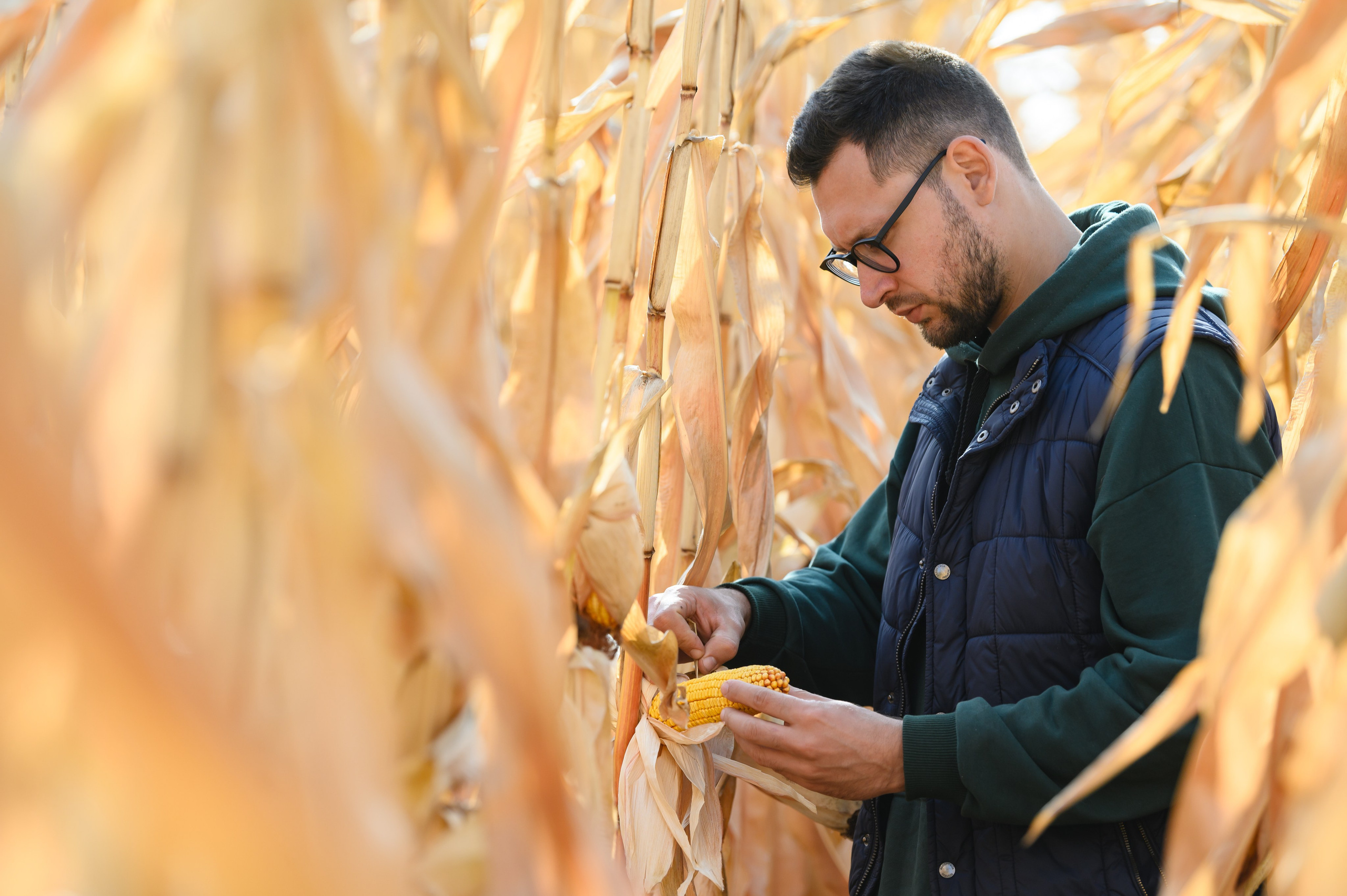 Проекты. Профессиональный фотограф Вячеслав Плацында | Липецк |