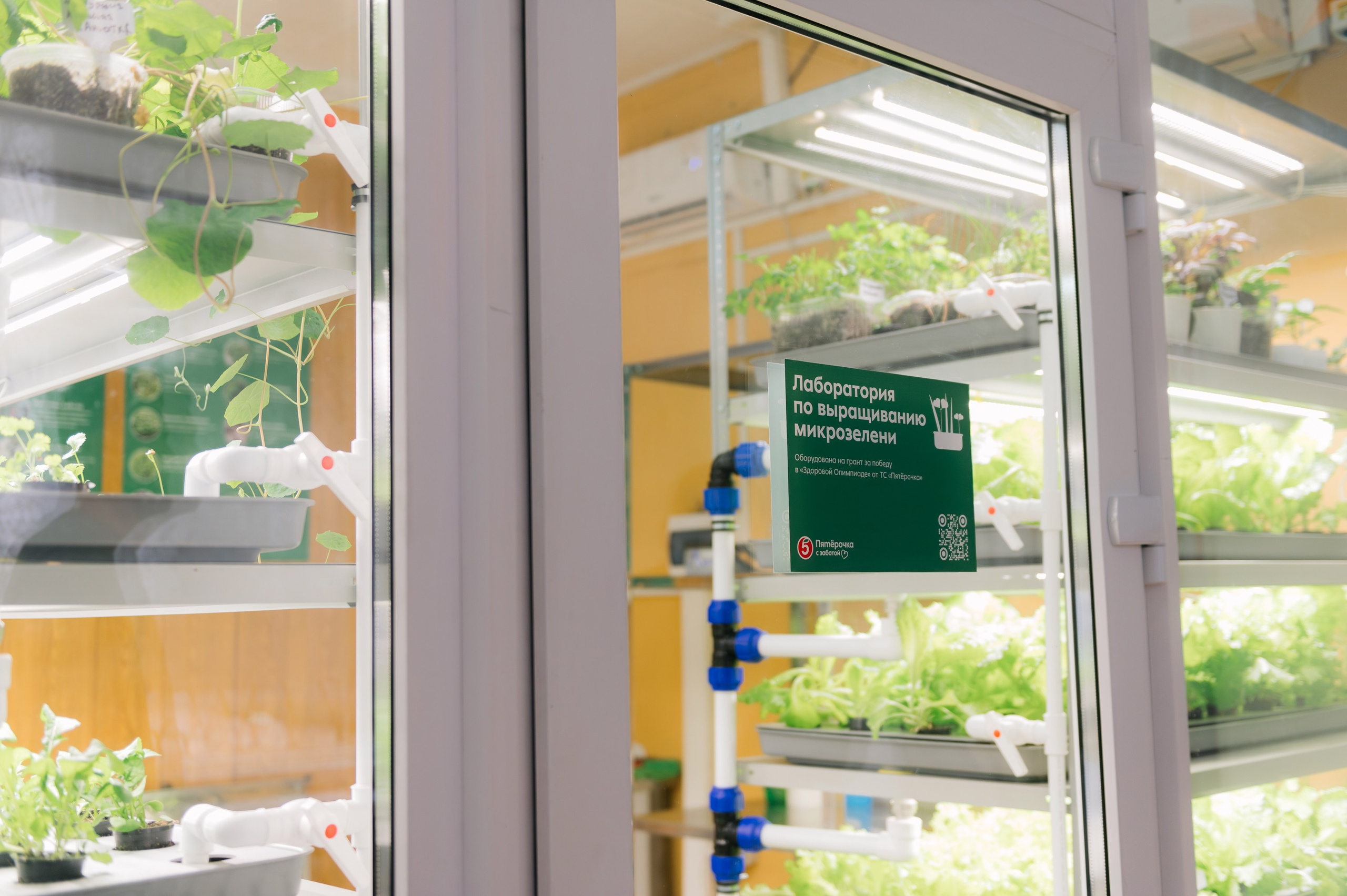 Пятёрочка. Школа питания. Фотограф в Волгограде Виталий Самойлов