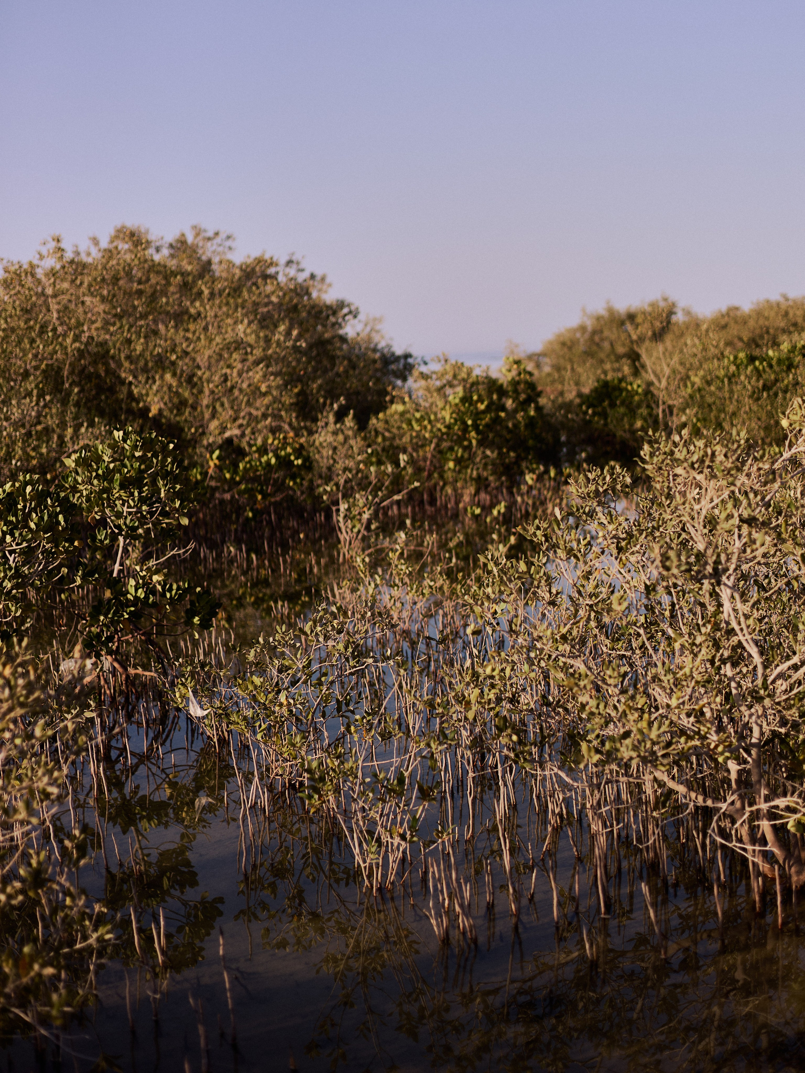 Диптих. Jorgis — фотограф в Хургаде / обучение фотографии
