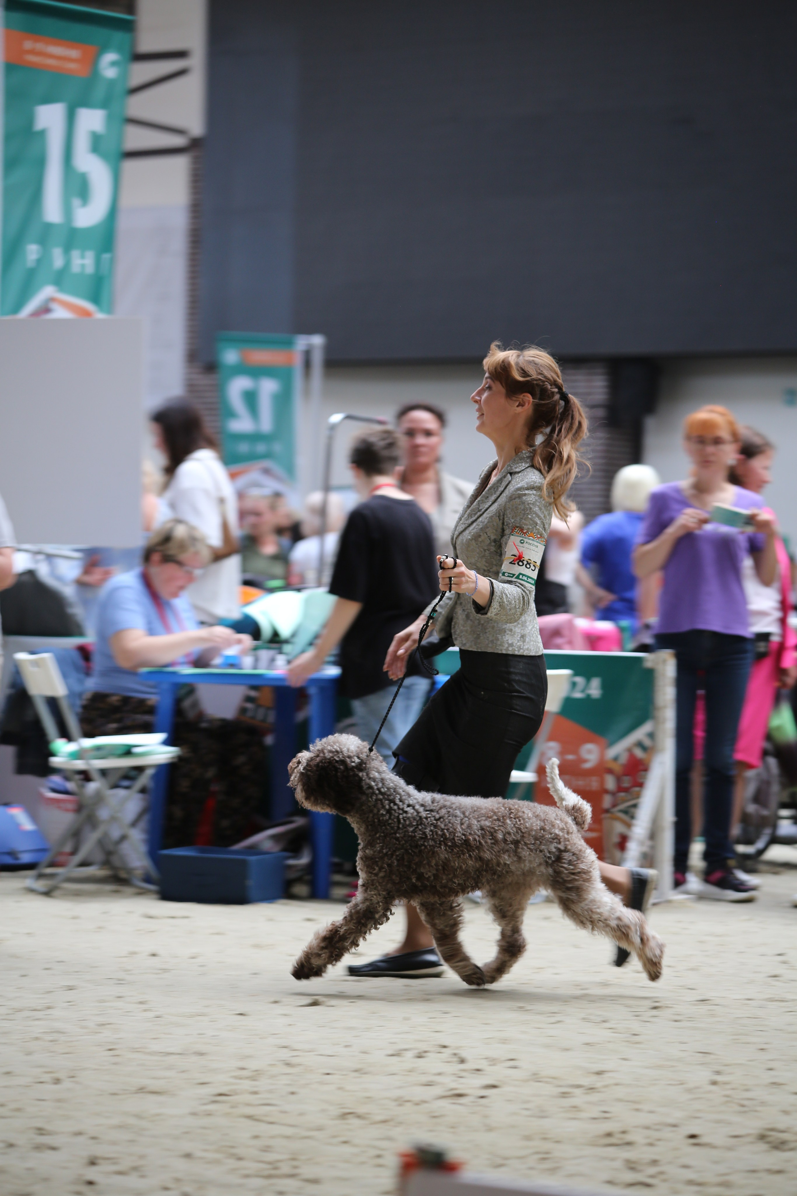 Съемка собак. Анималистика. Репортаж. Индивидуальная съемка
