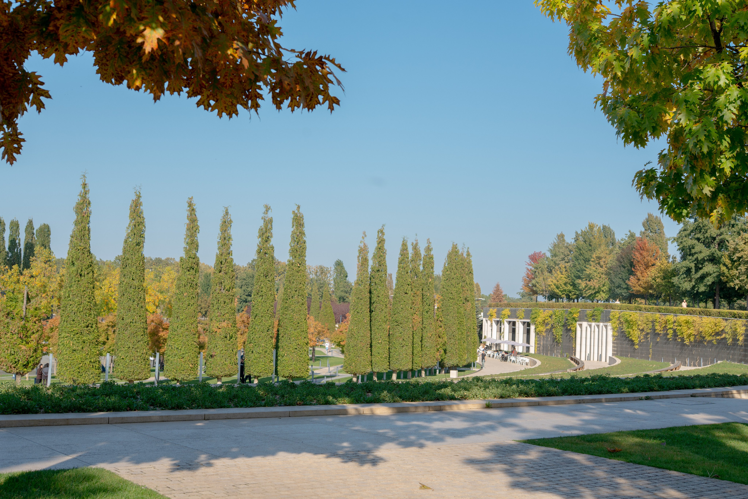 Парк Краснодар. 35 мм