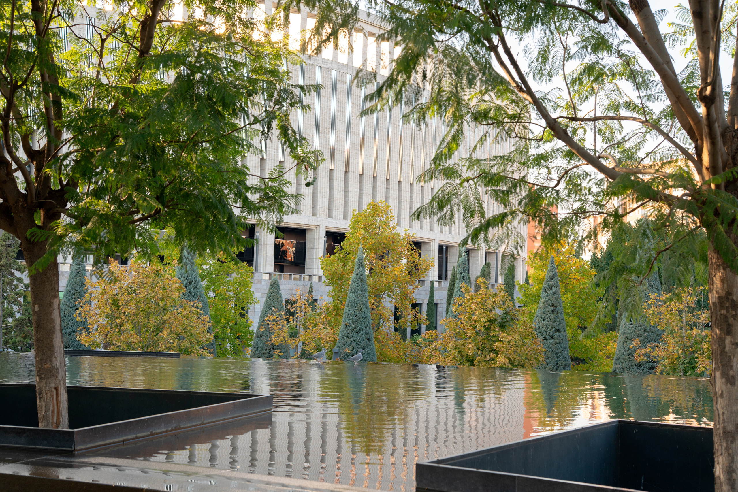 Парк Краснодар. 35 мм