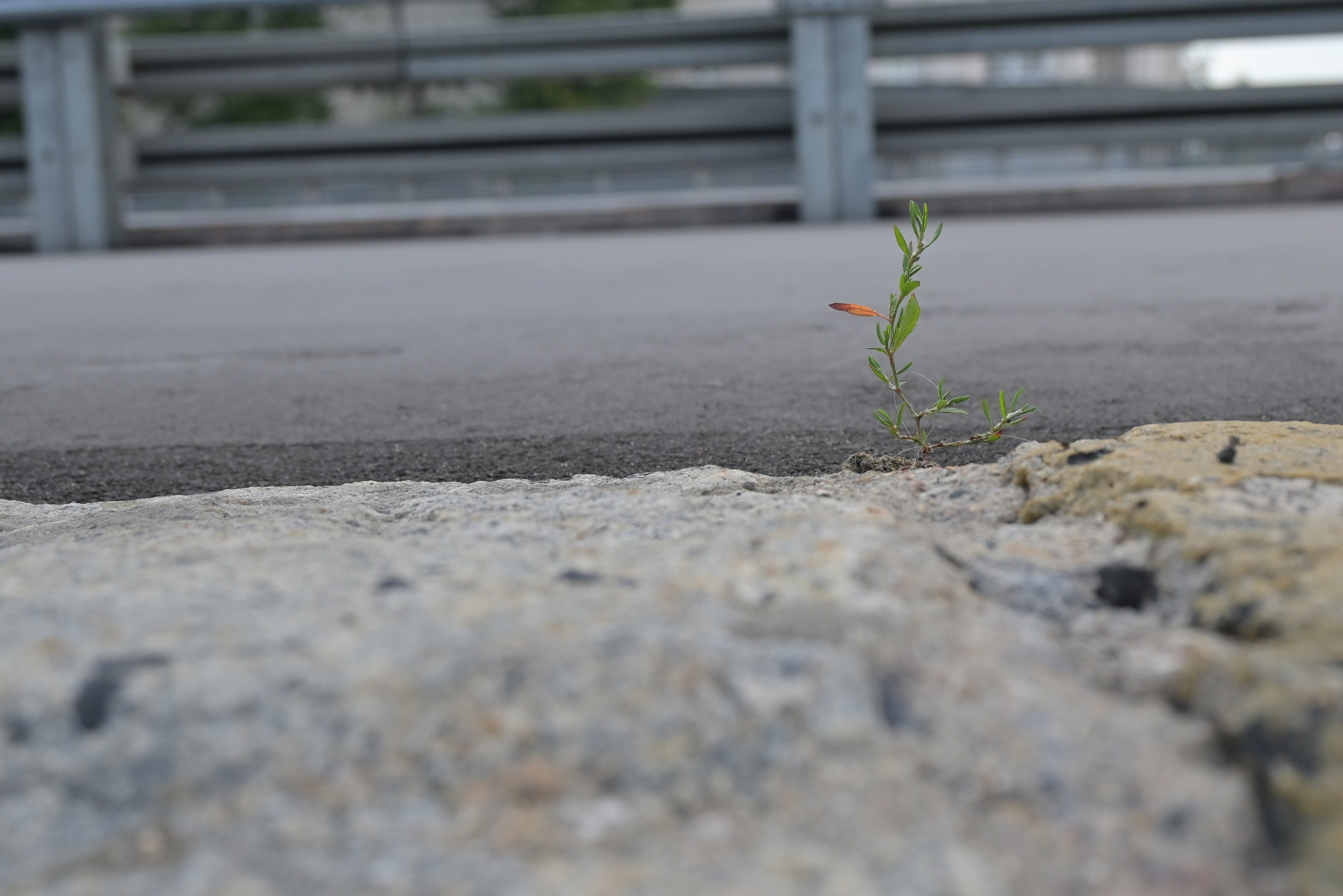 20 240 629 От Киевской до Арбатской. Дмитрий Ремизов. Фотография, как хобби