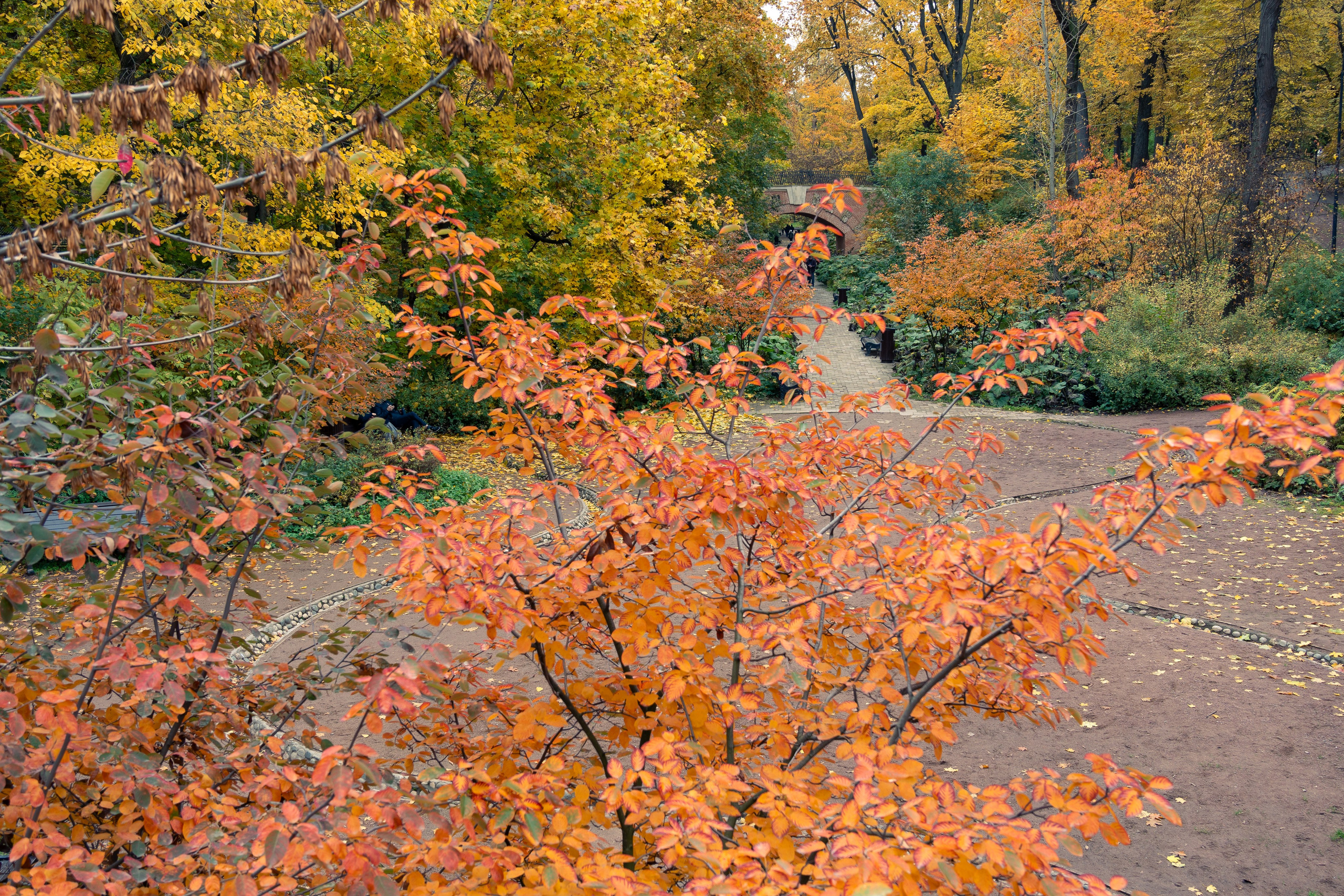 20251011 Нескучный сад. Дмитрий Ремизов. Фотография, как хобби