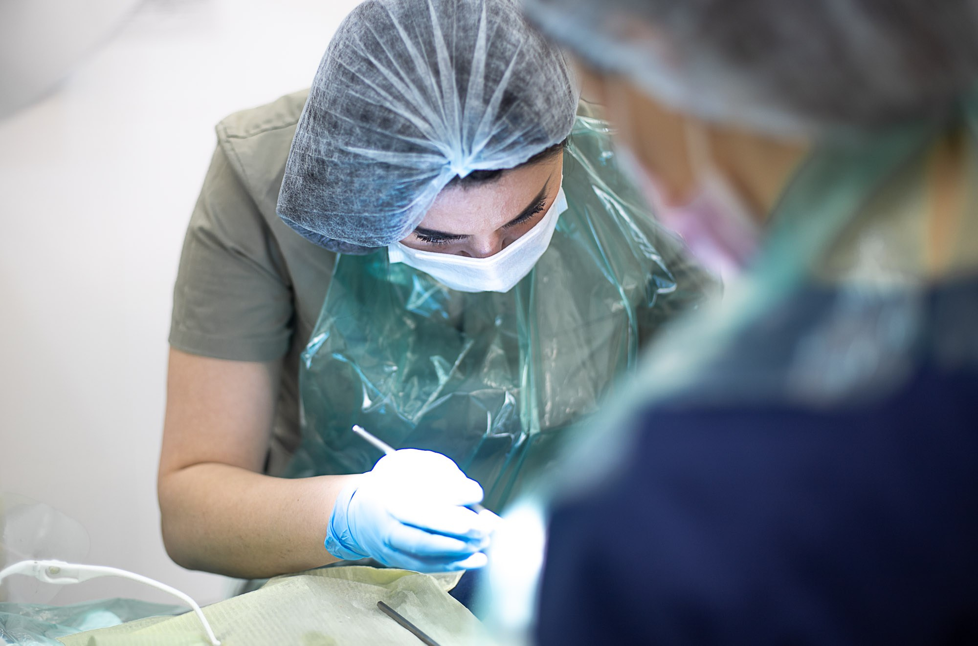 Стоматология ПрезиДент. SaGaFOTO.ru