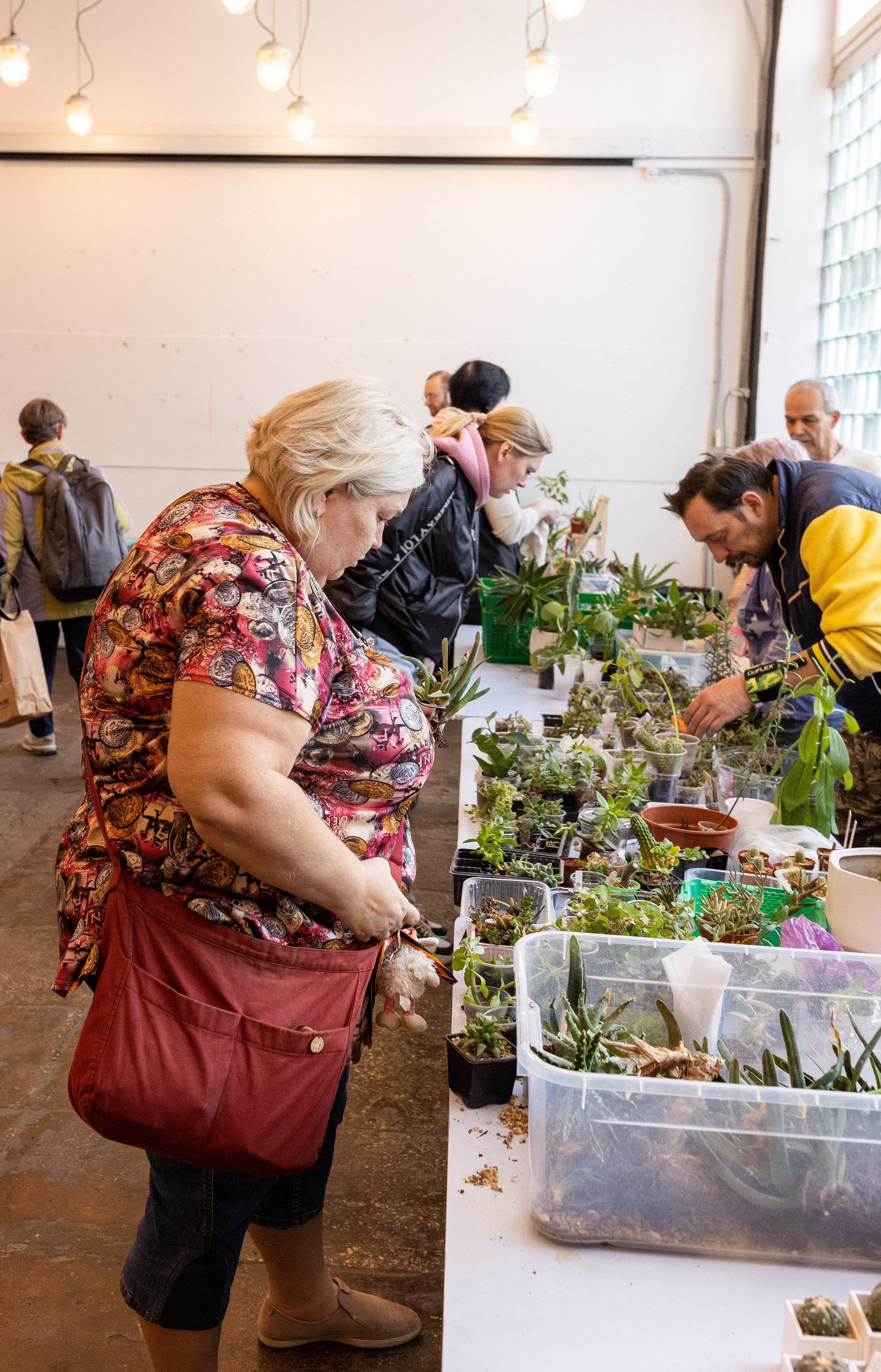 Meza market 2024. Александра Куликова фотограф, Москва