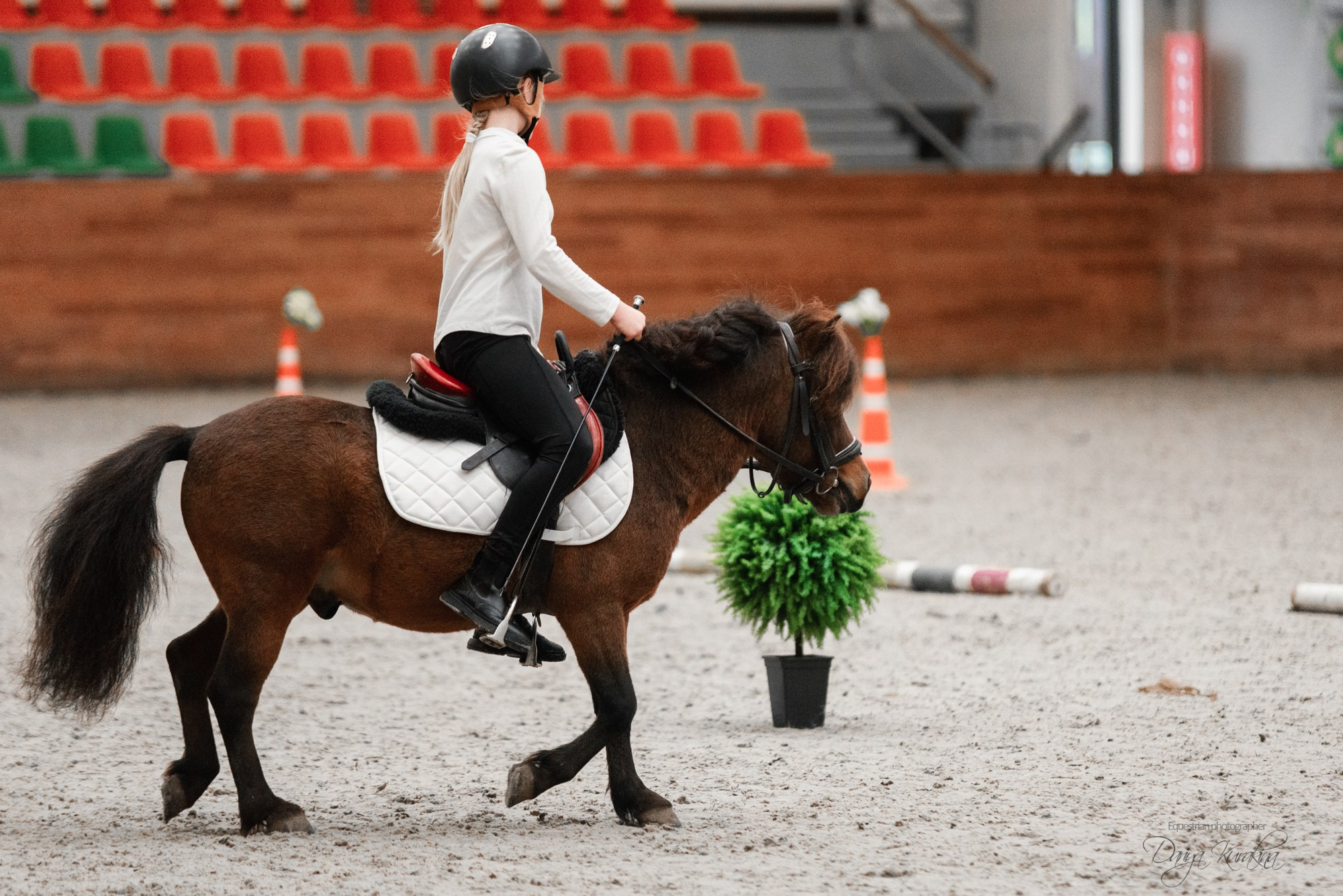 8-я международная выставка Конная Россия. Конный фотограф Куракина Дарья • Фотосессии с лошадьми