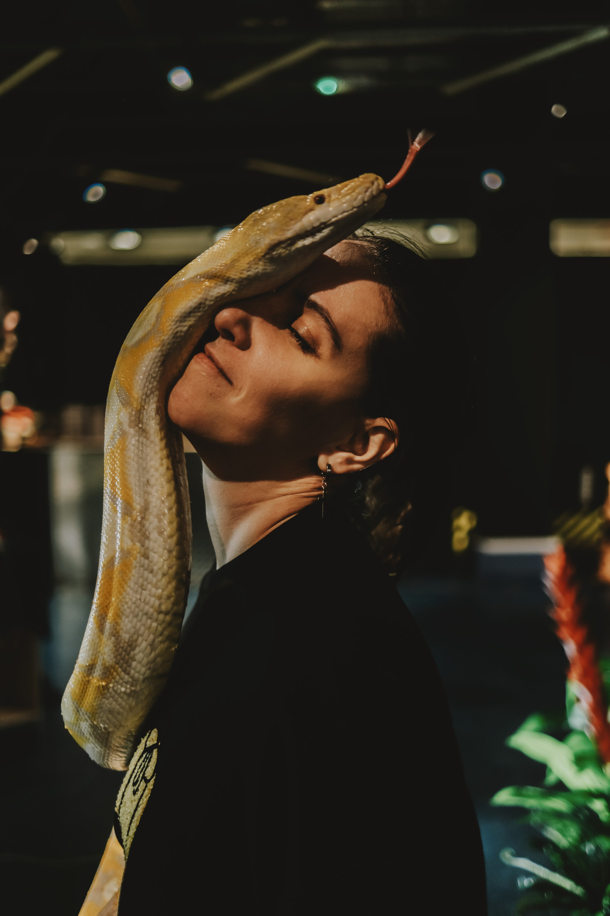 Дом Драконов. Nattie.ph