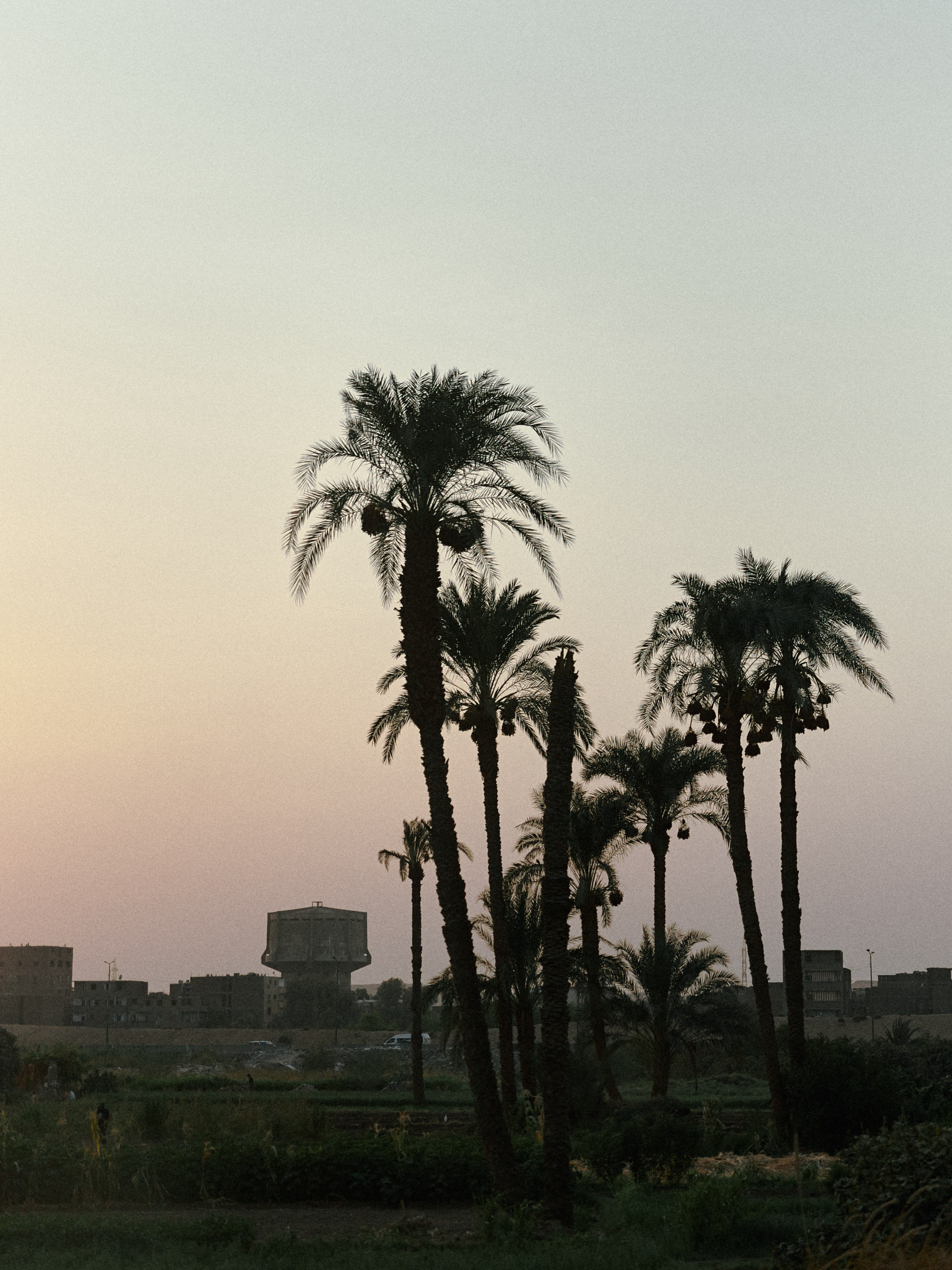 Диптих. Jorgis — фотограф в Хургаде / обучение фотографии