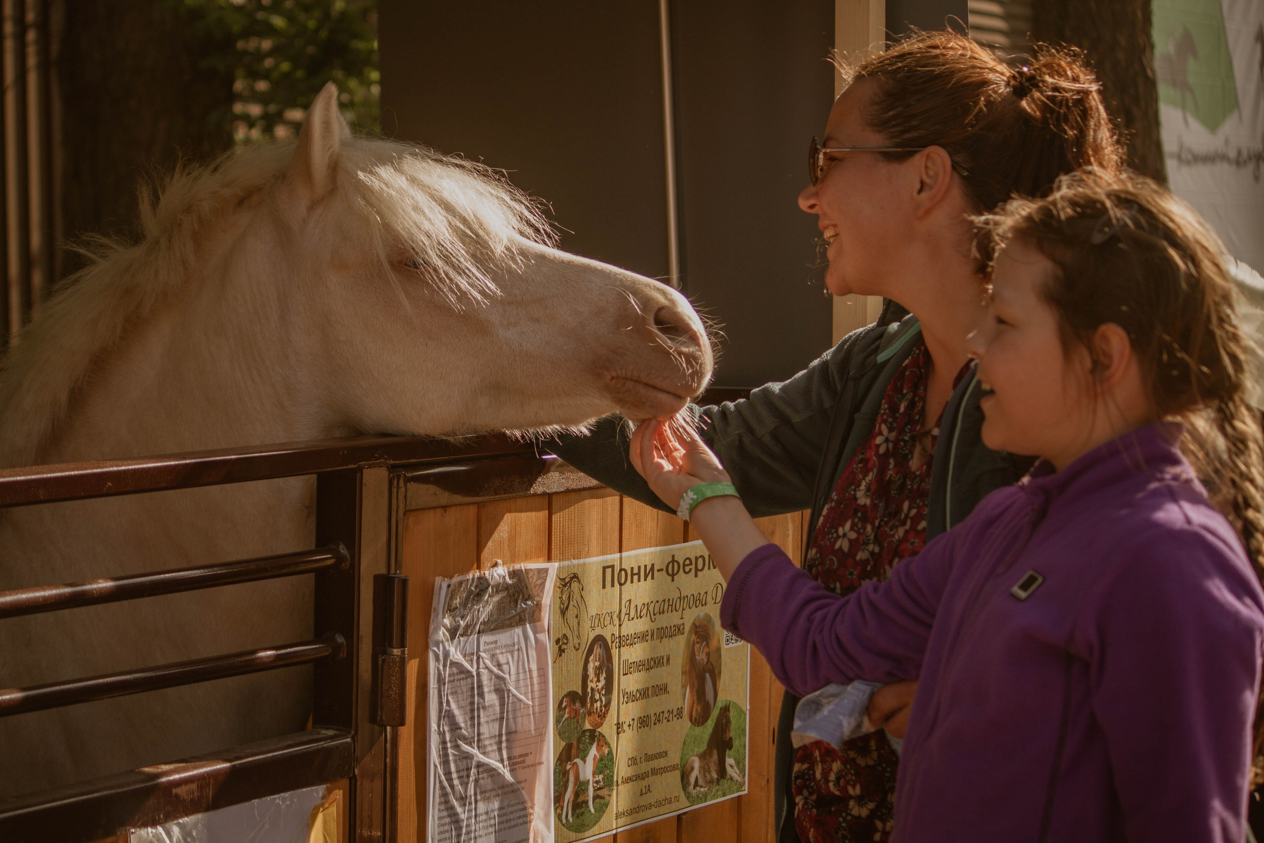 ИППОСФЕРА — Международная конная выставка. Создадим шедевр? Виталина и её фотоискусство