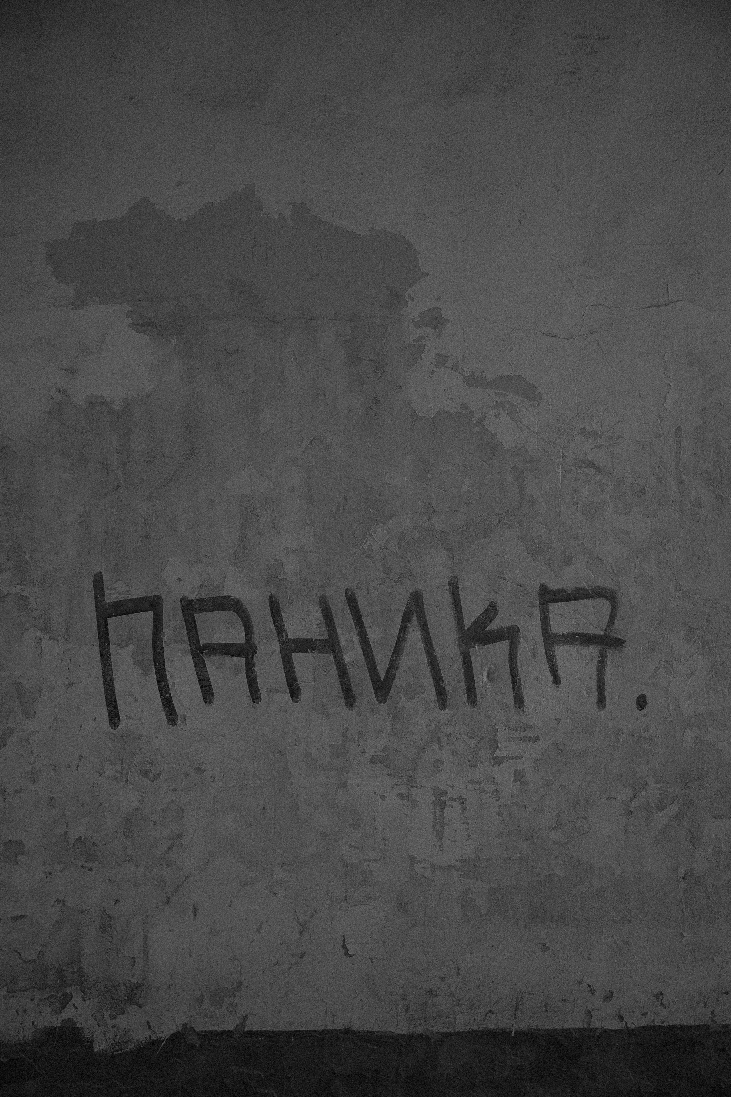 P a n i c. Свадебный фотограф Колесников Антон