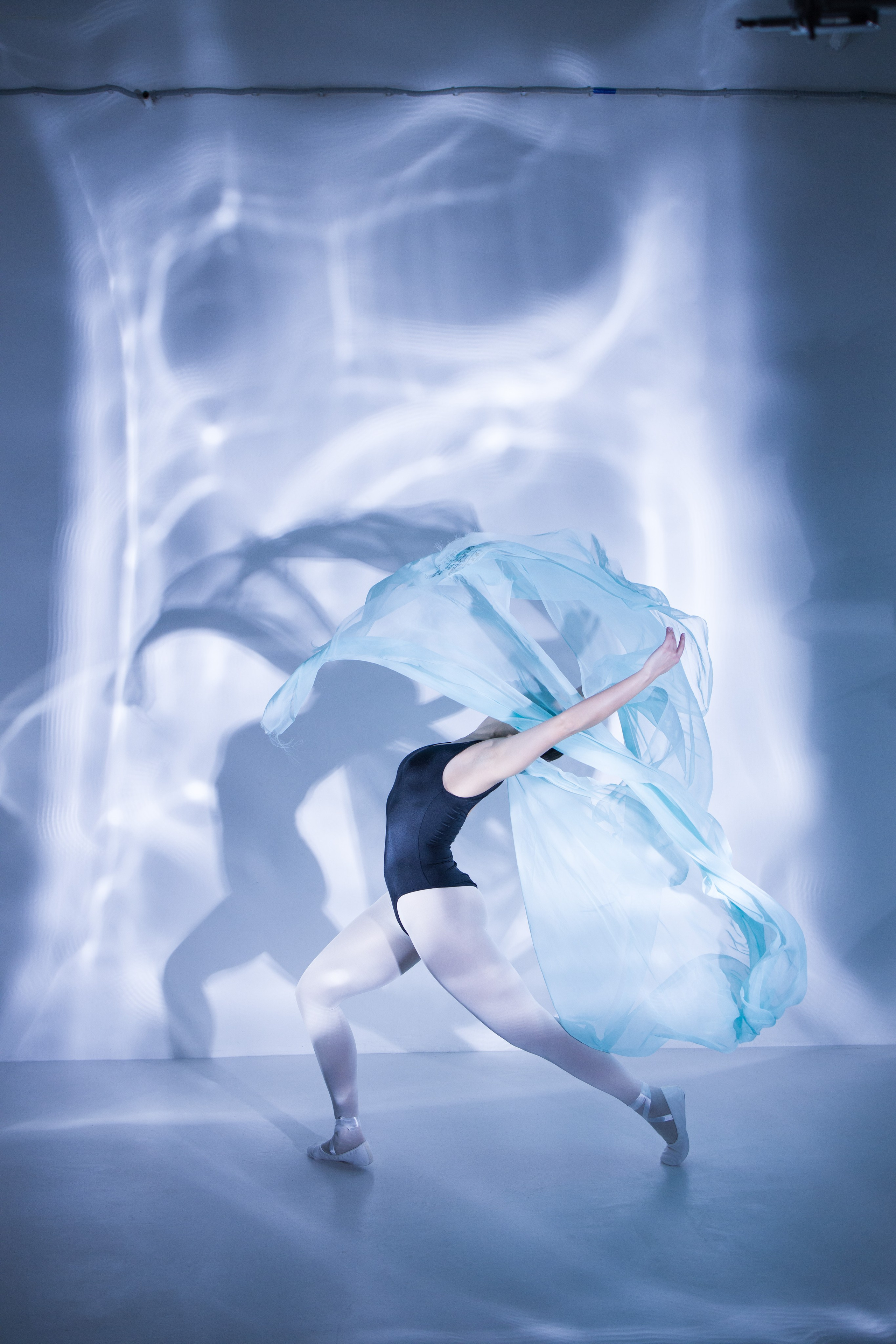 Лилия. Художественная фотография