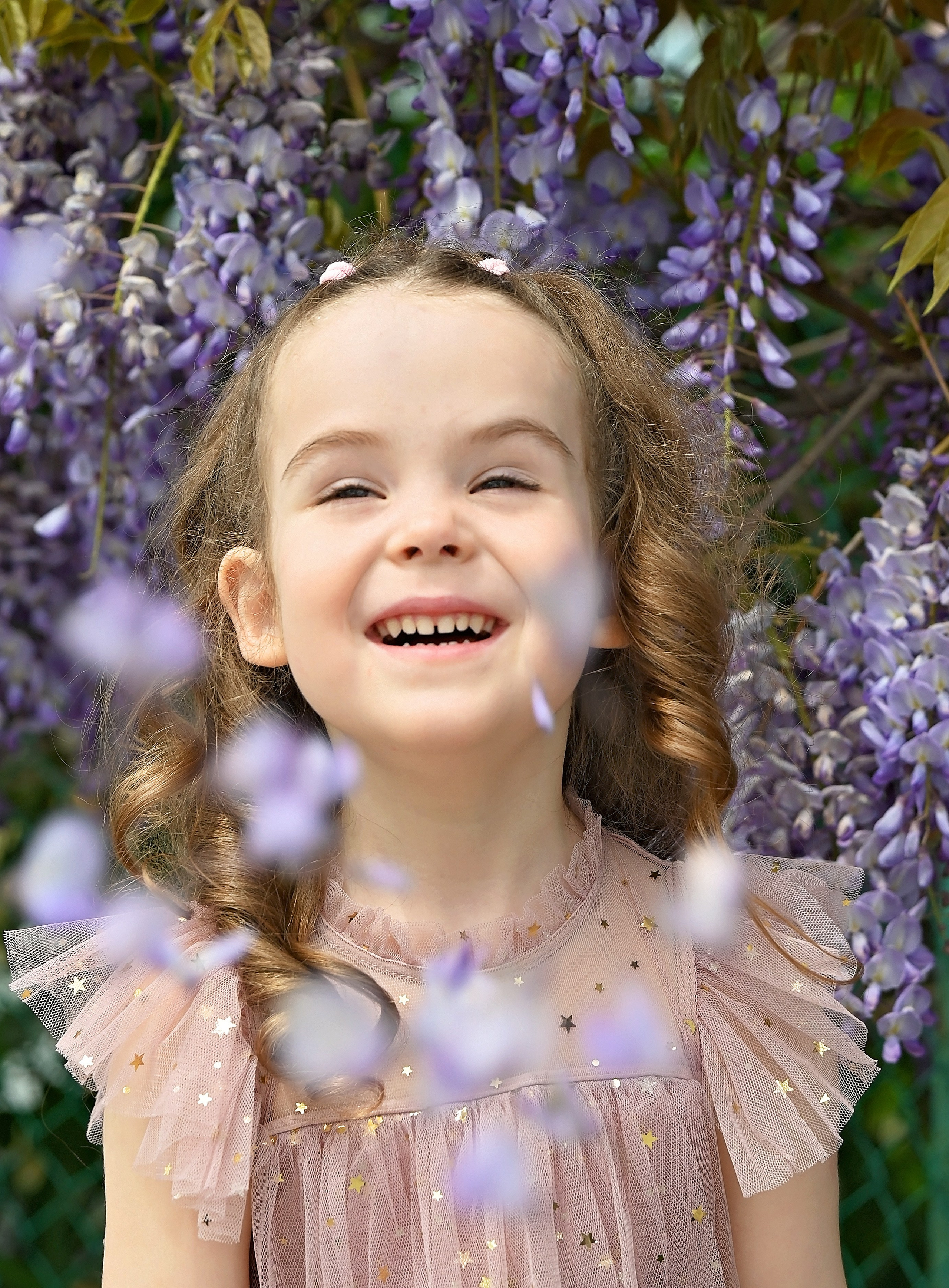 Глициния. Главная