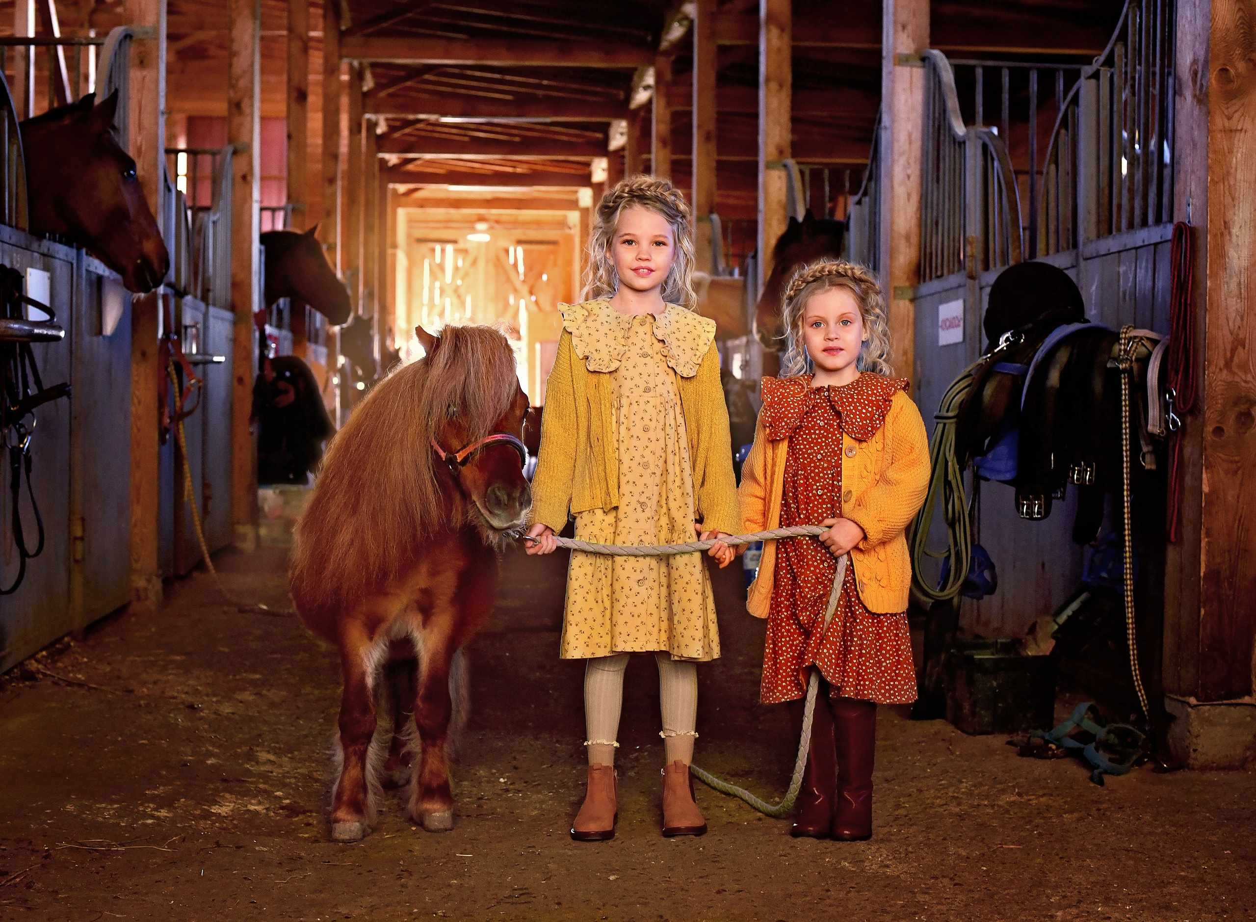 Фото проект «Конюшня». Главная