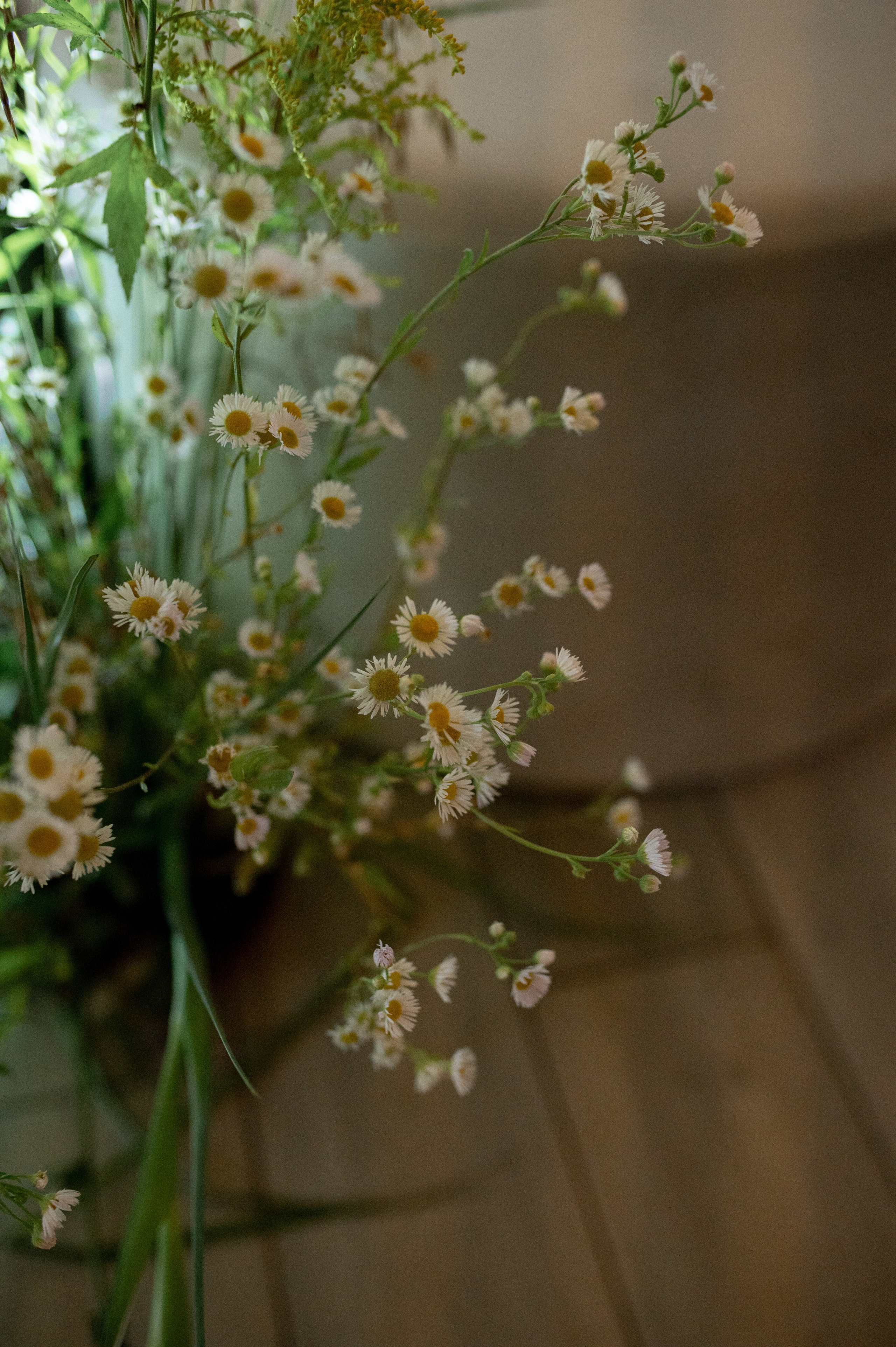 Коля & Вика. Оформление свадеб, декор свадеб Вера Маркова, Москва