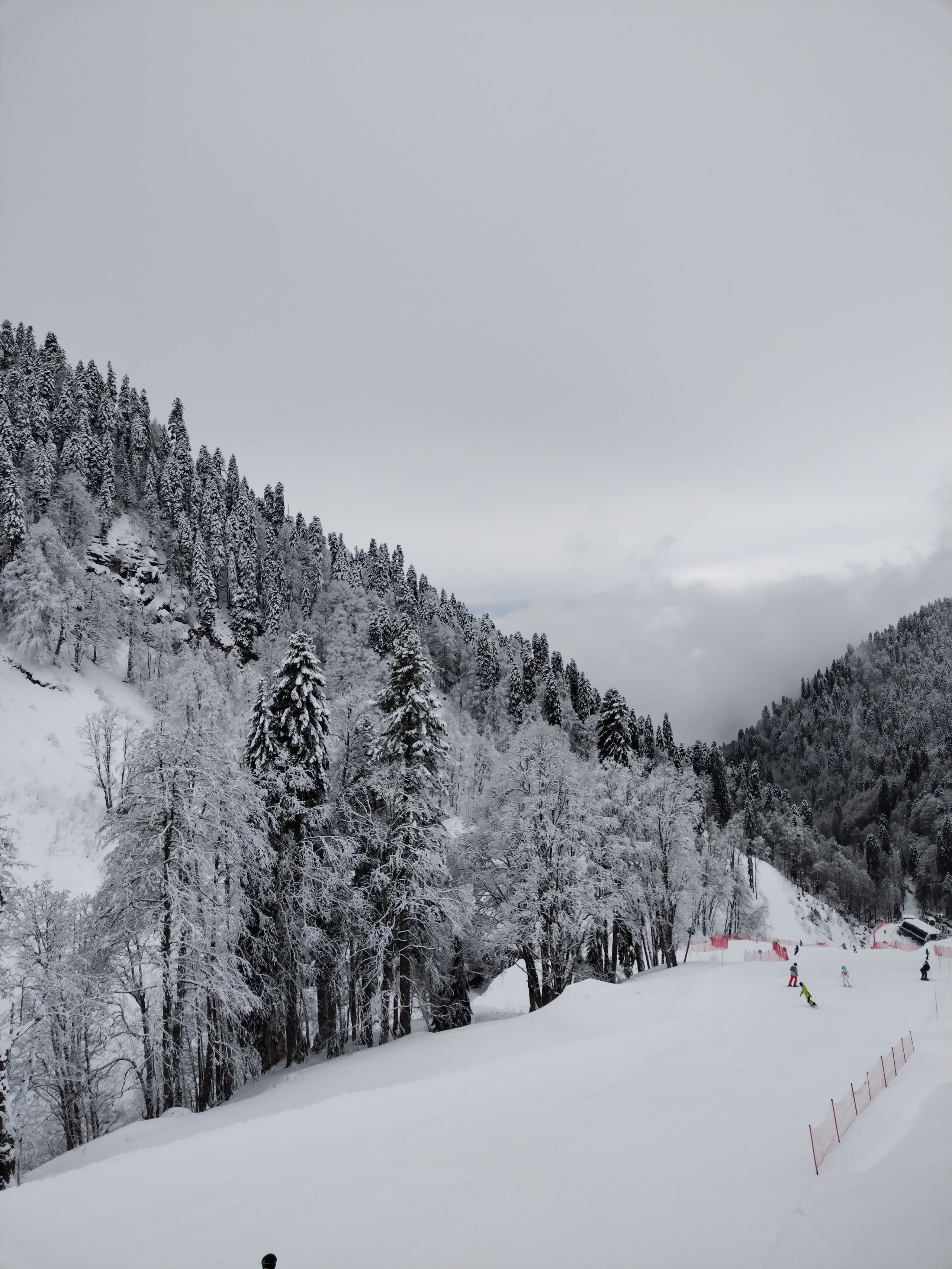 Горнолыжные курорты Красной Поляны. Инструкторы по горным лыжам и сноуборду Сочи Красная Поляна. Горнолыжная школа