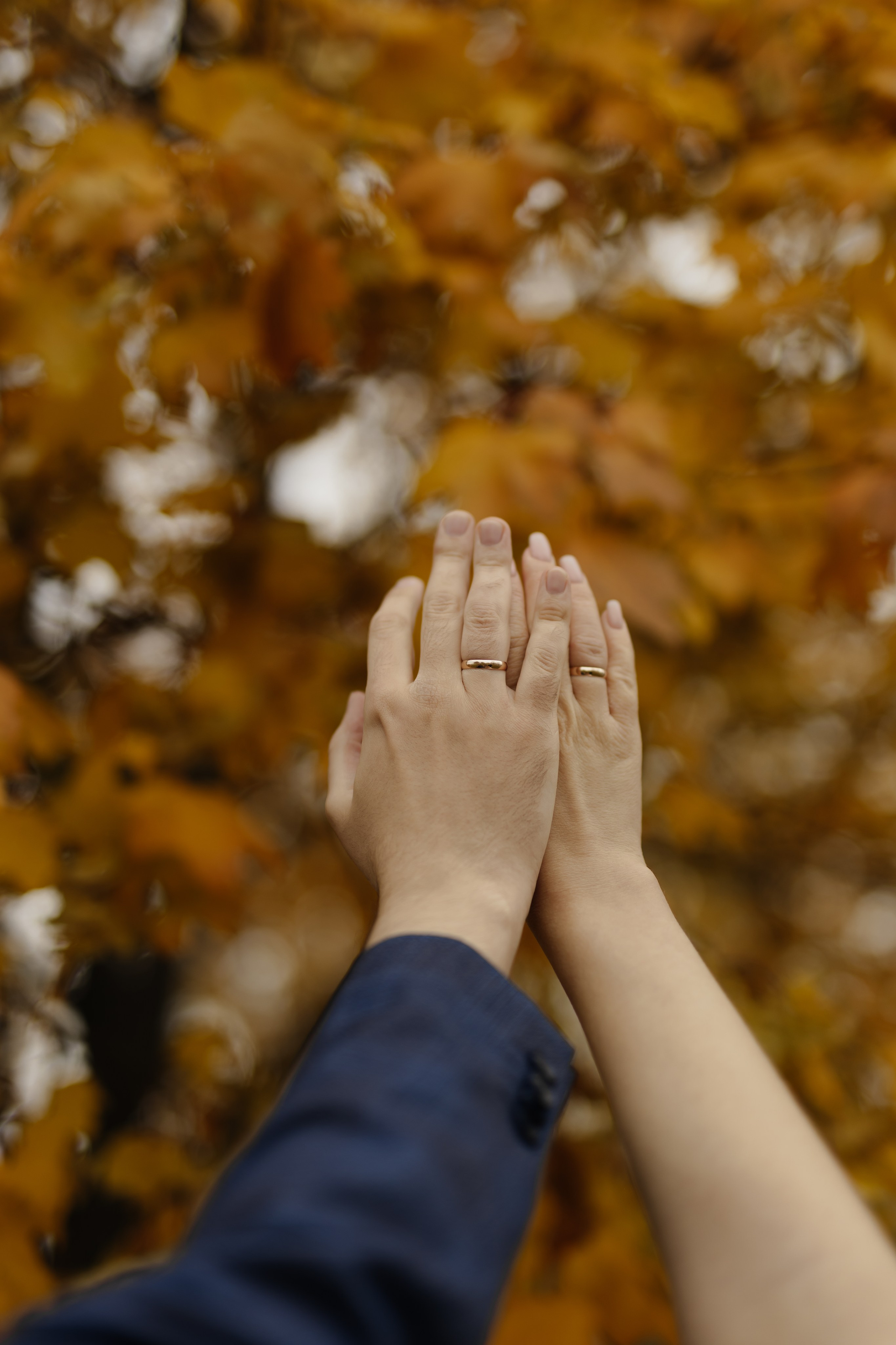 Свадьба Даниила и Виктории. Фотограф Кольчугино/Владимир/Москва Елизавета Иода