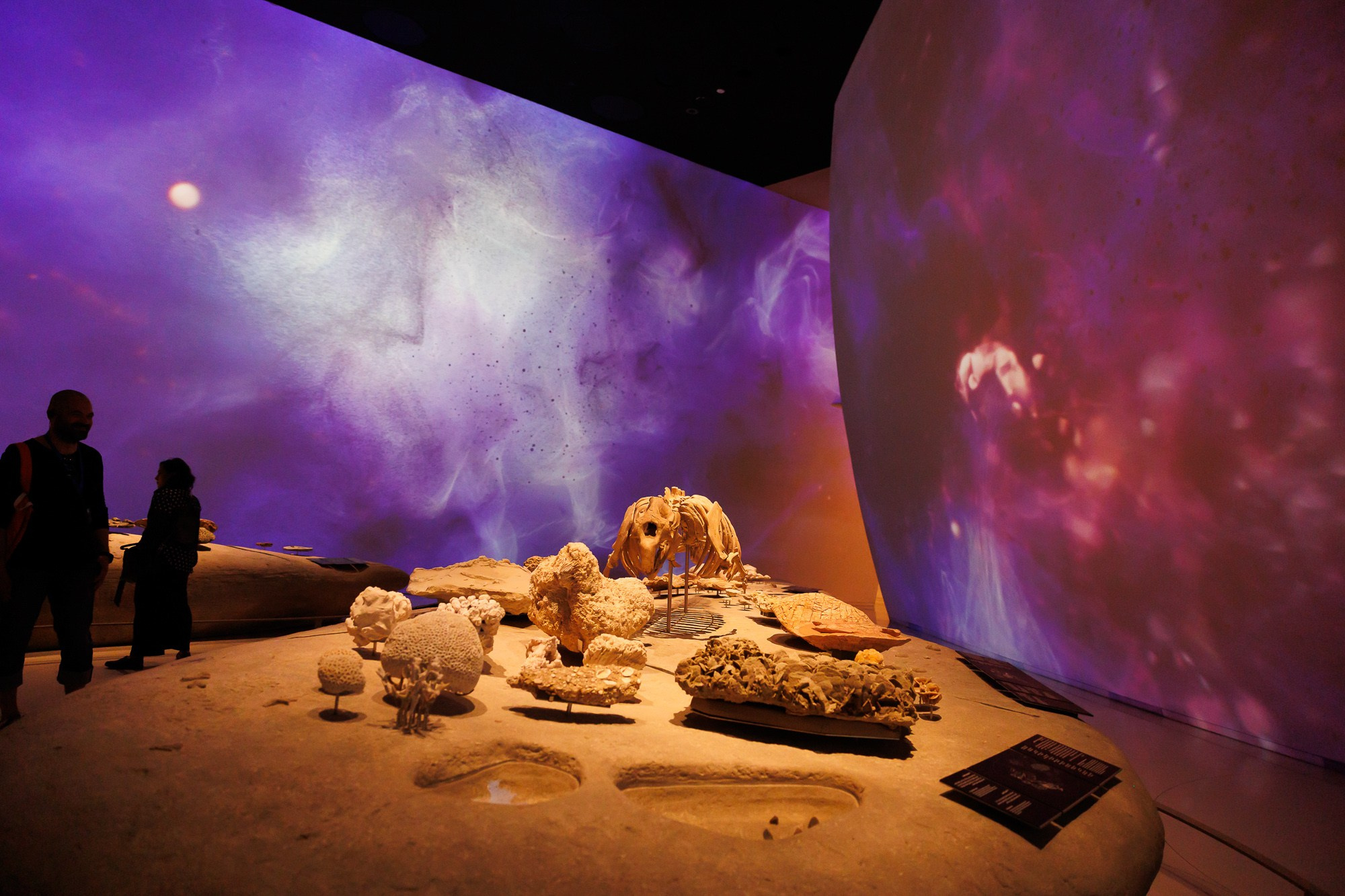 Корпоративный выезд в Qatar. Фотограф Дмитрий Елисеев