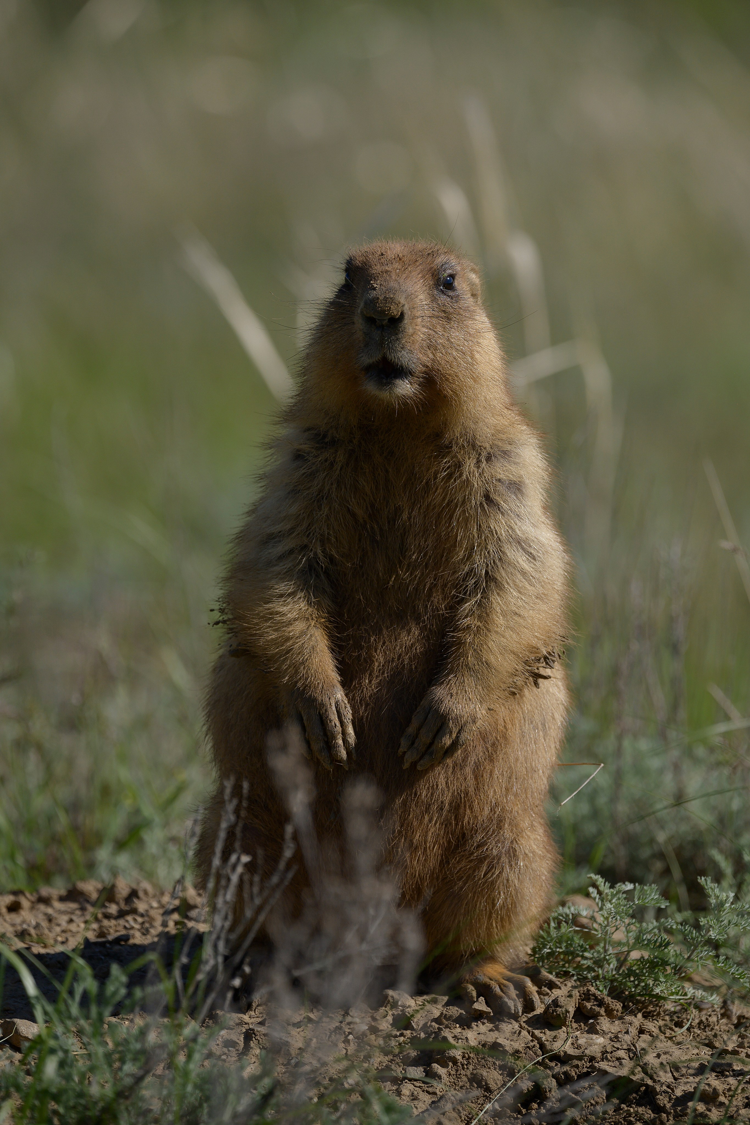 Оренбуржье. Портретный фотограф в Челябинске Катерина Руди