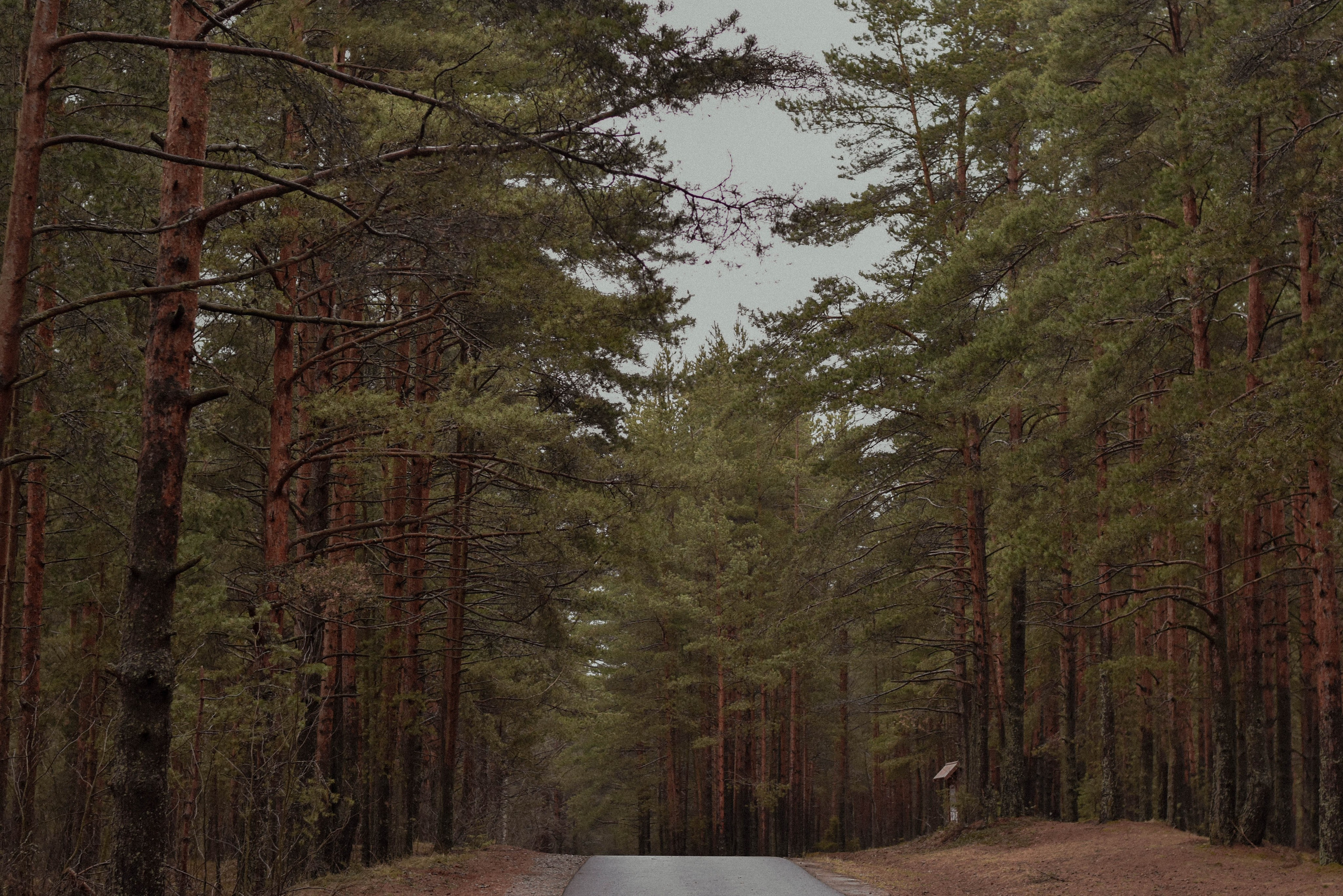 Истории. Элька Мурзина