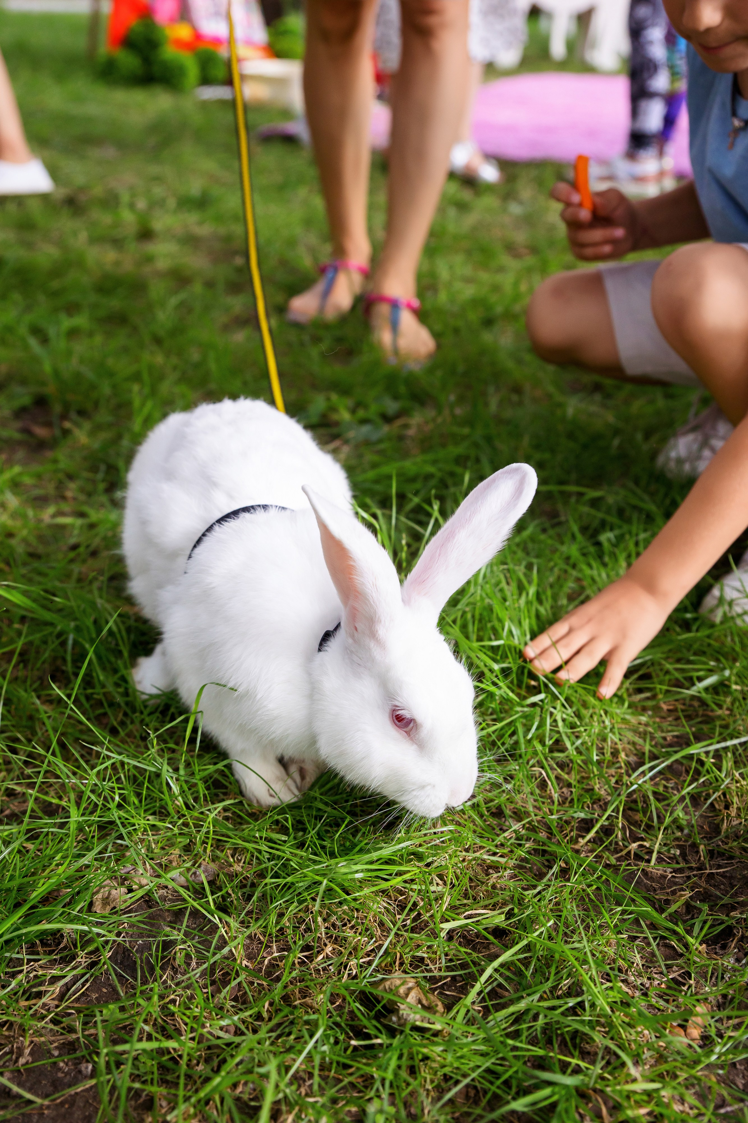 День рождения Анна 6 лет. Фотограф Иван Недорез