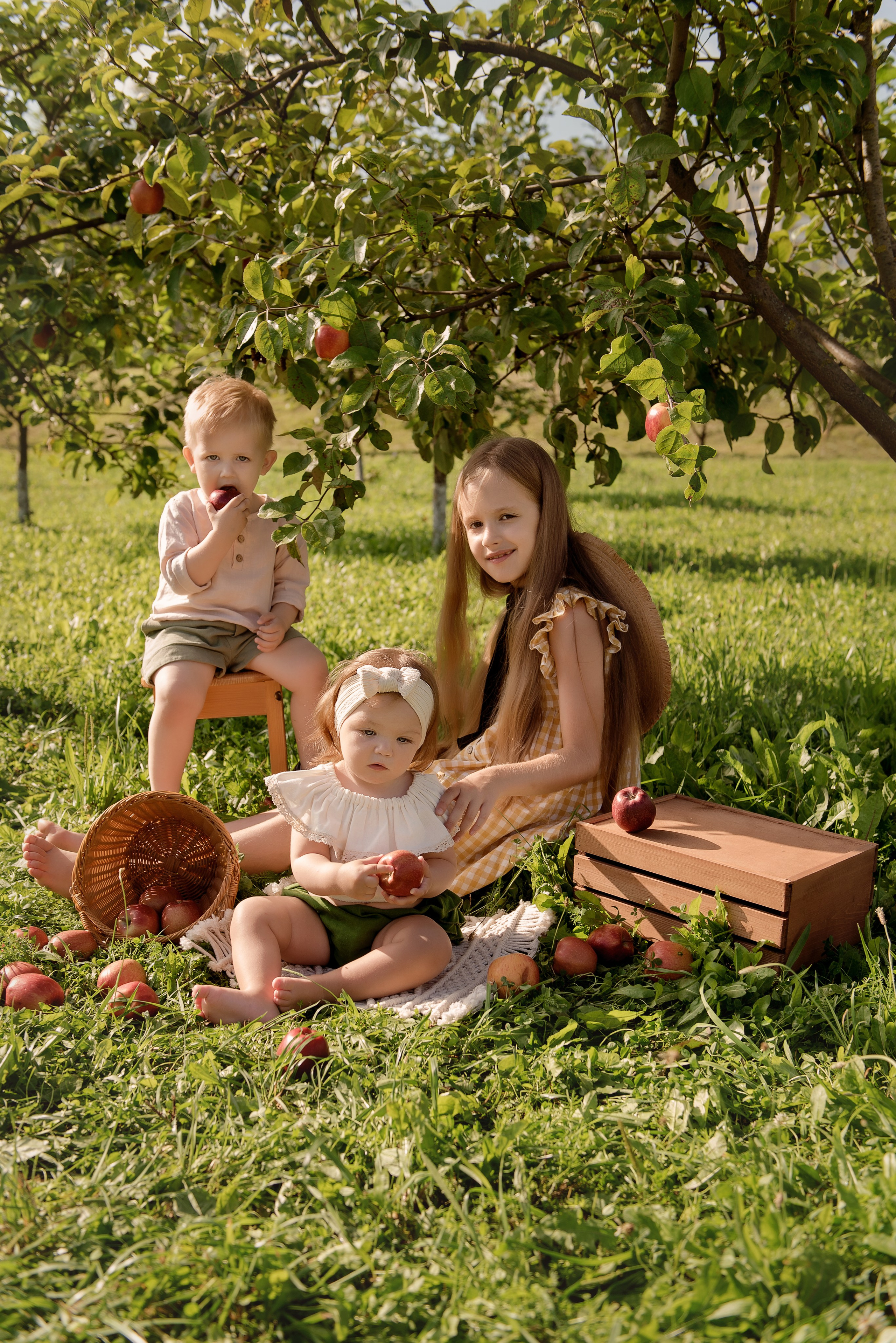 Яблоневый сад. Детский фотограф в Долгопрудном и Москве