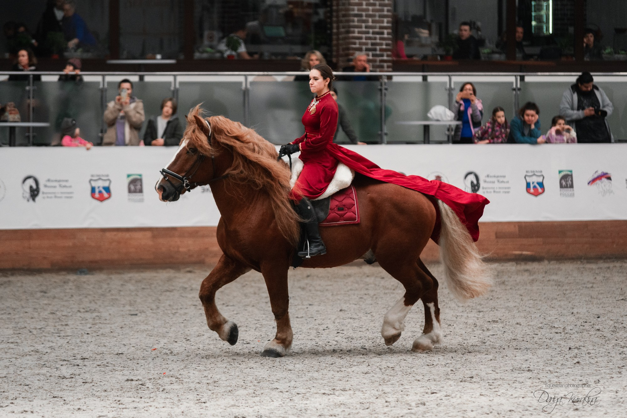 8-я международная выставка Конная Россия. Конный фотограф Куракина Дарья • Фотосессии с лошадьми
