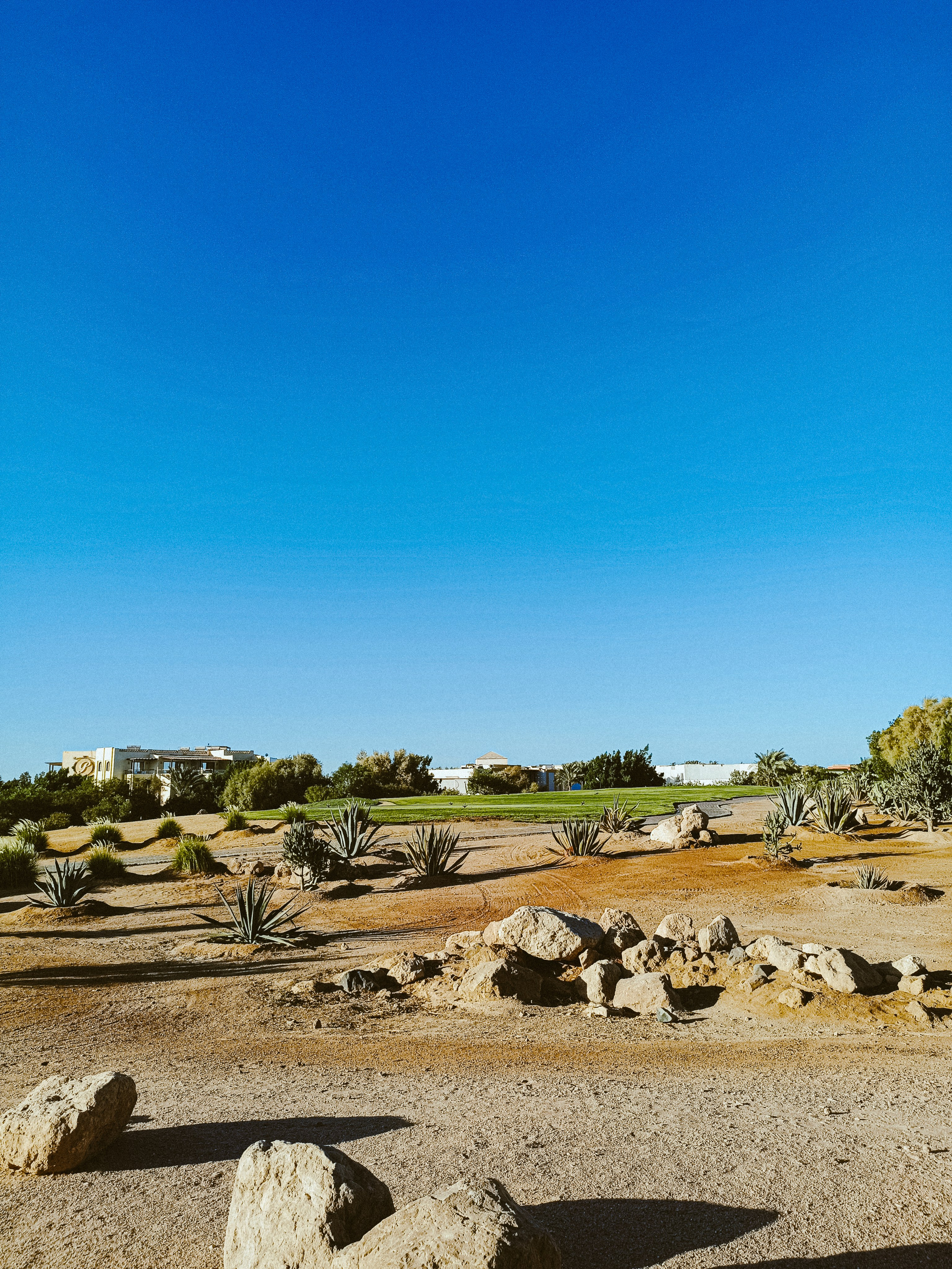 Мобильная. Jorgis — фотограф в Хургаде / обучение фотографии